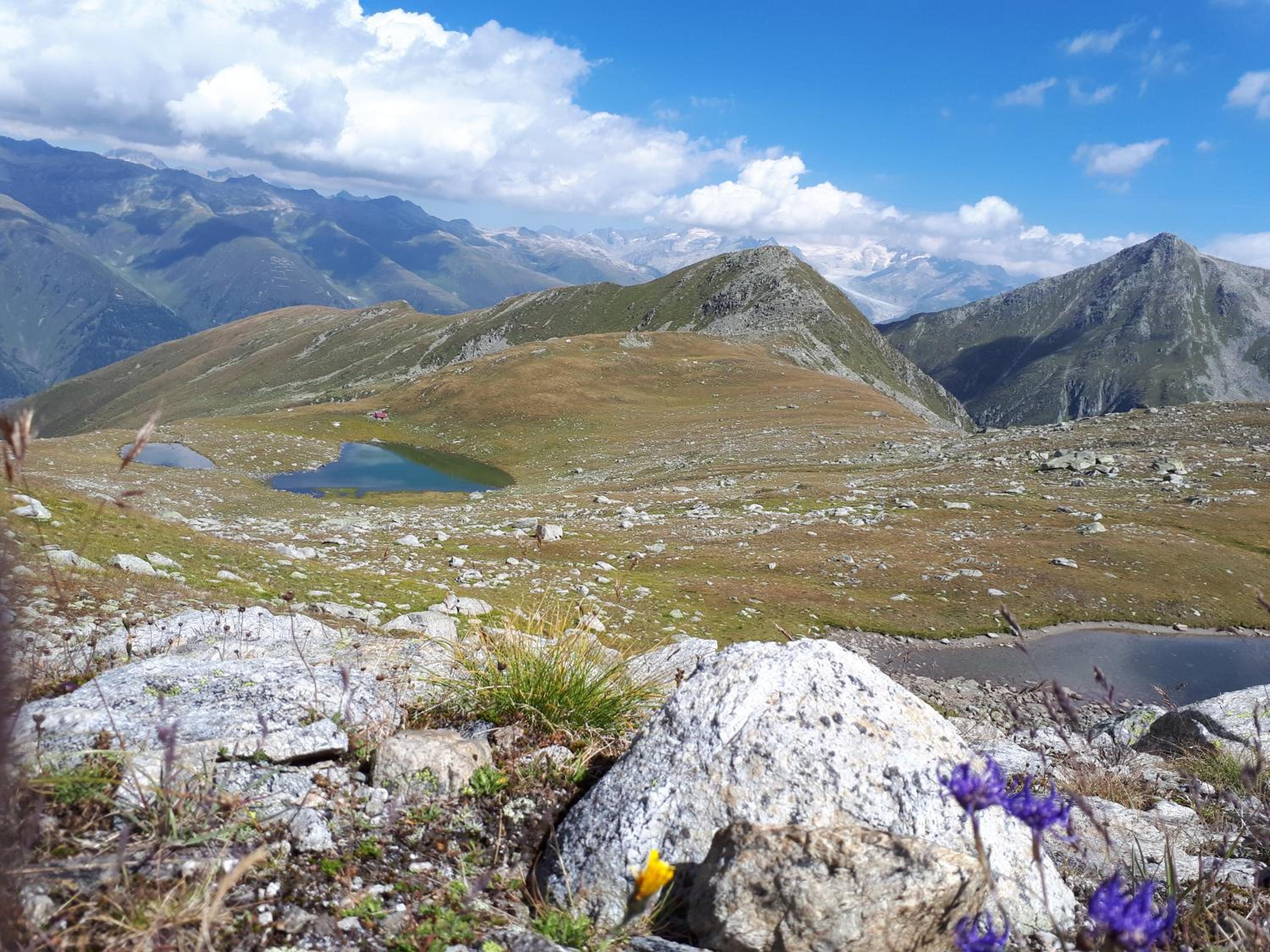 Alpensonne