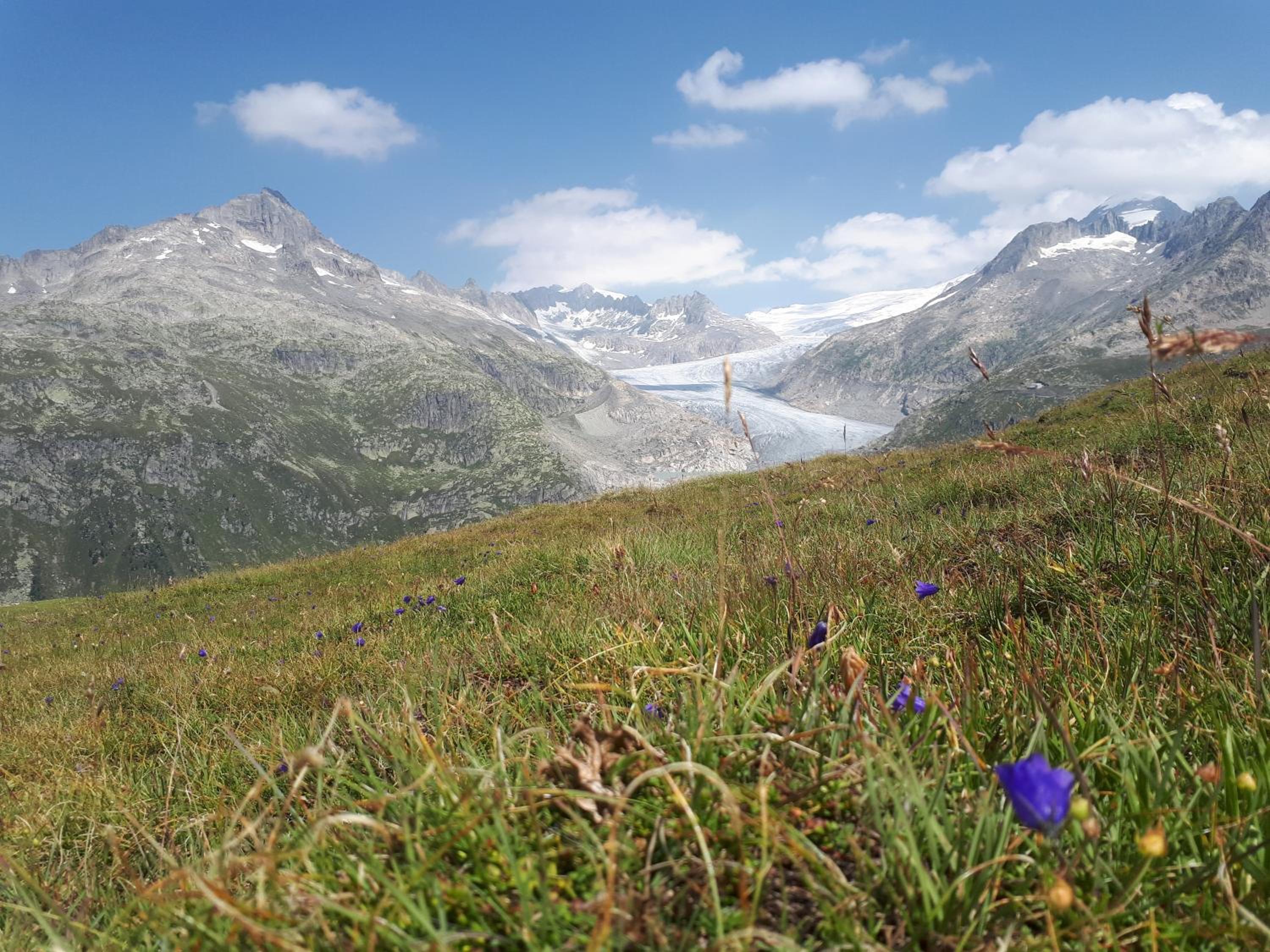 Alpensonne