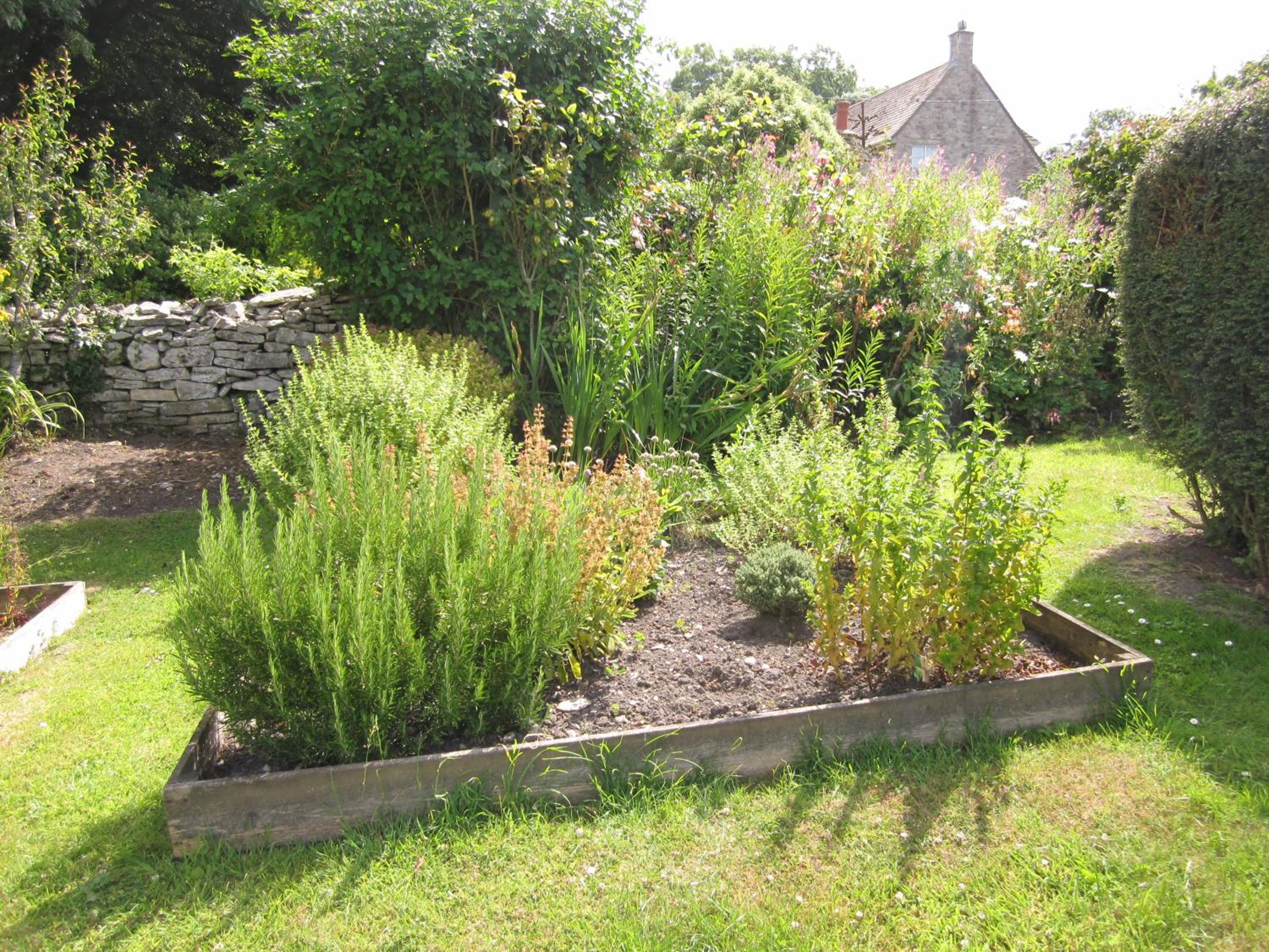Photo 18