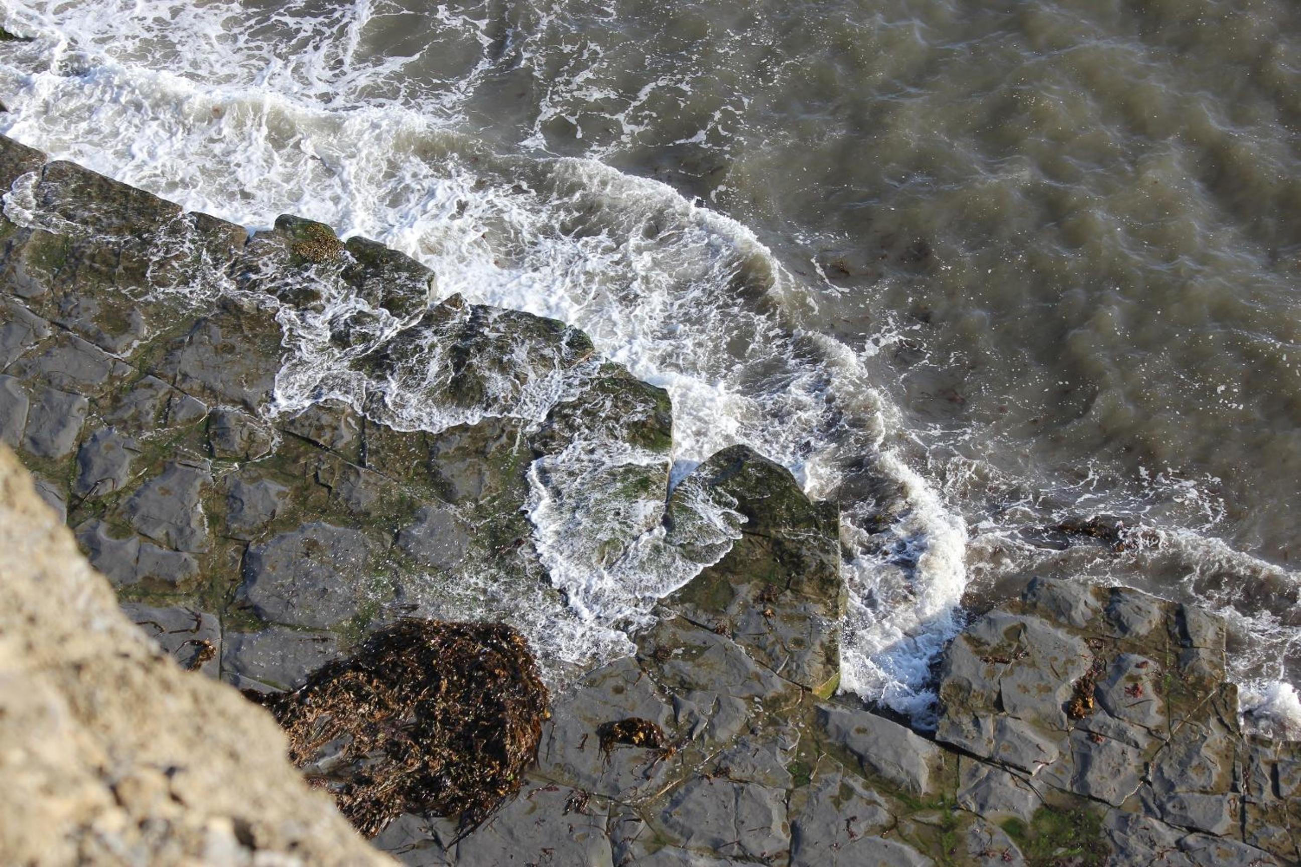 Photo 31