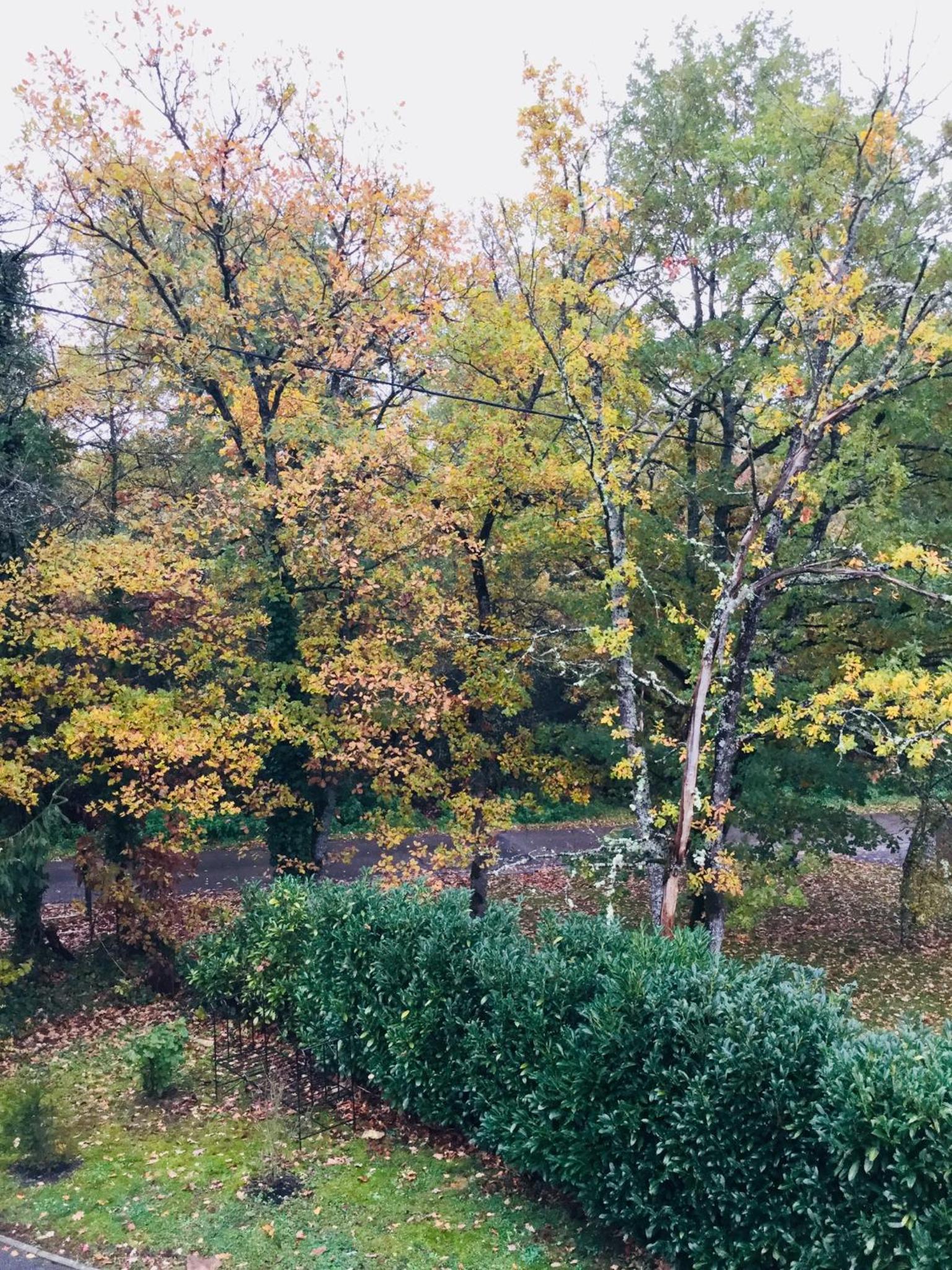 Le jardin des Biches