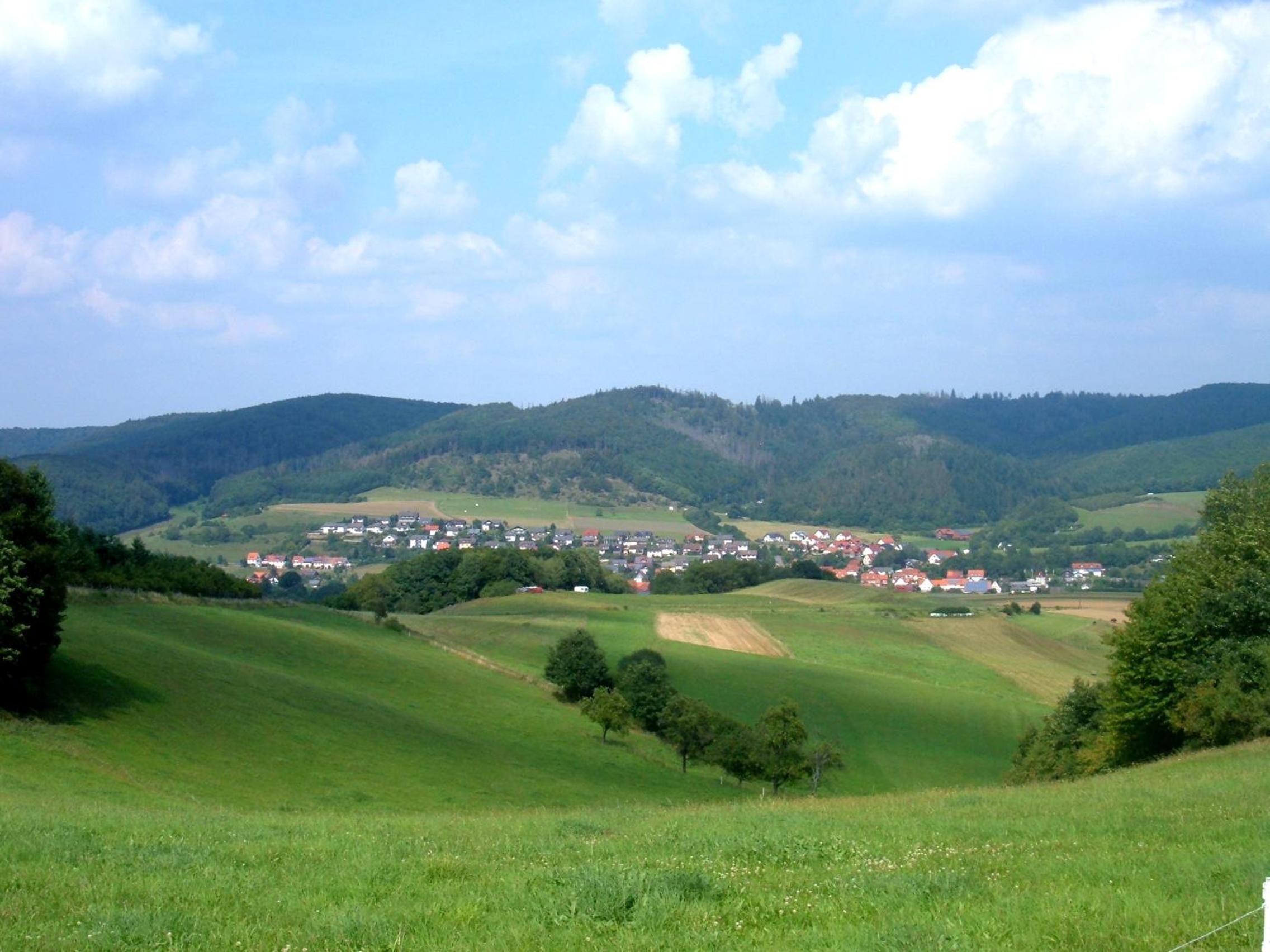 Photo 42