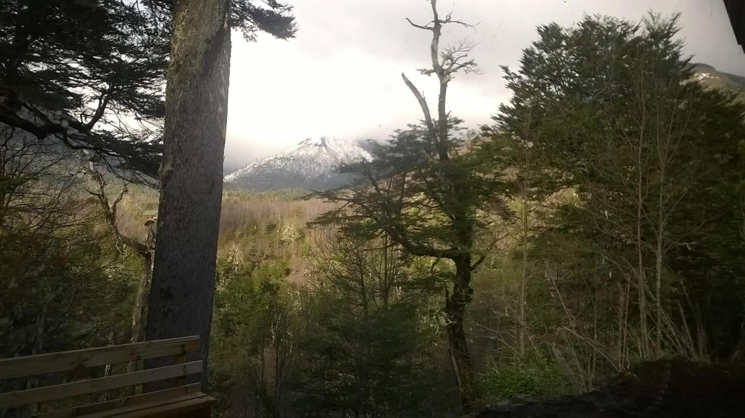 Lodge Palguin Alto