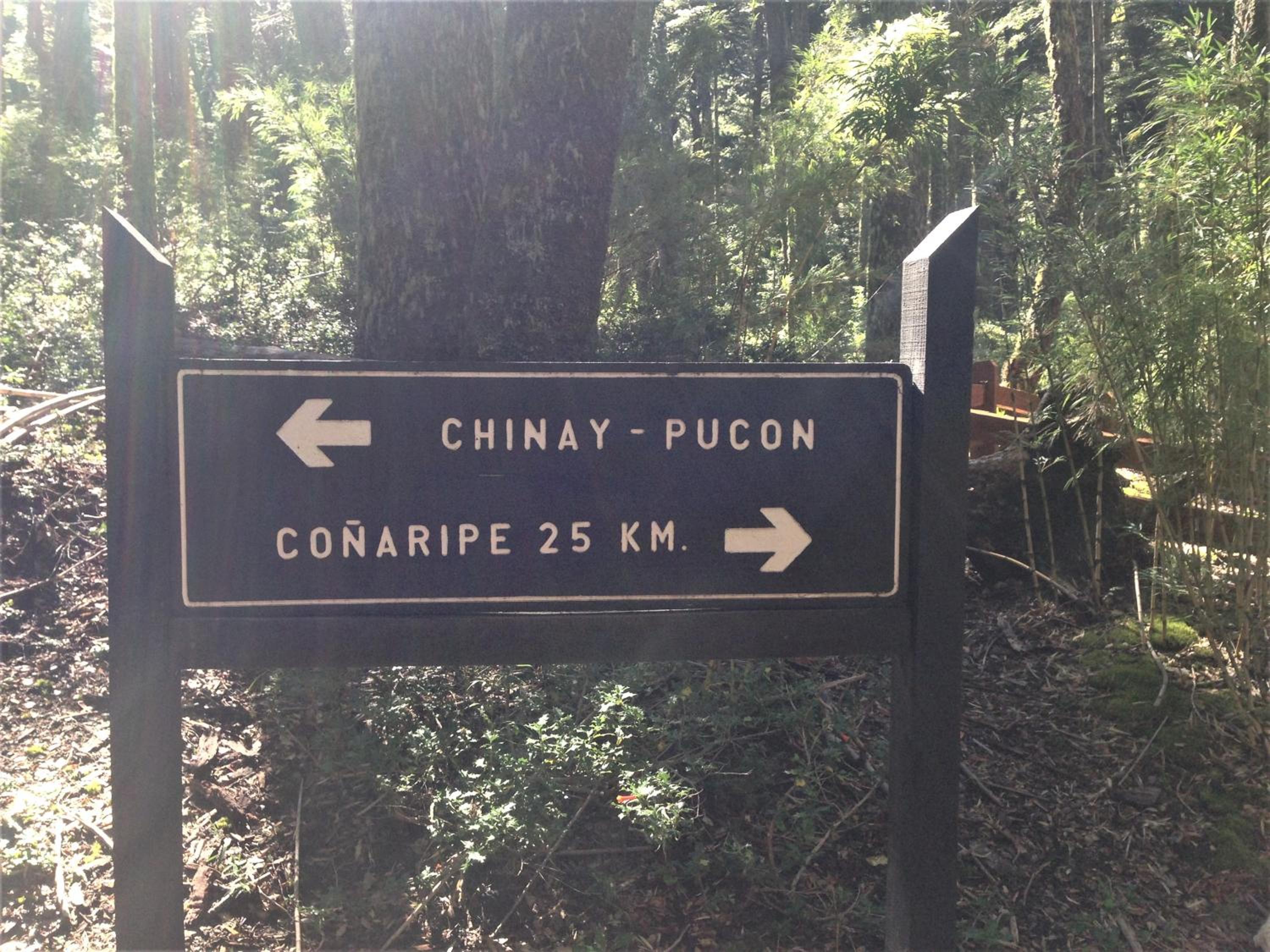 Lodge Palguin Alto