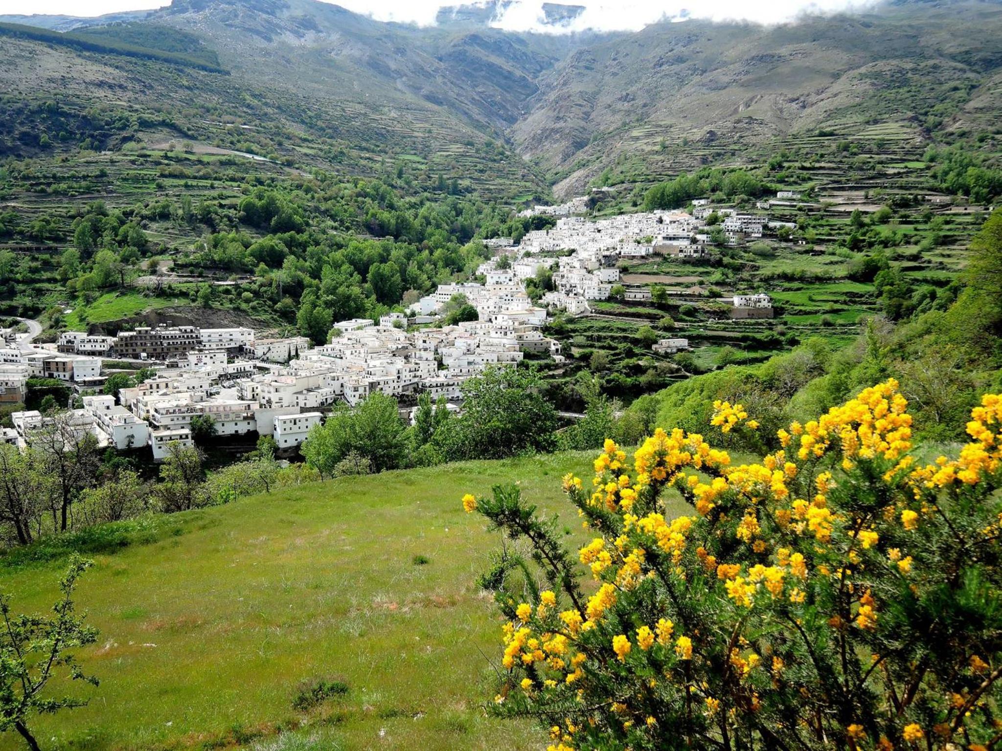 Casa Rosa view 2