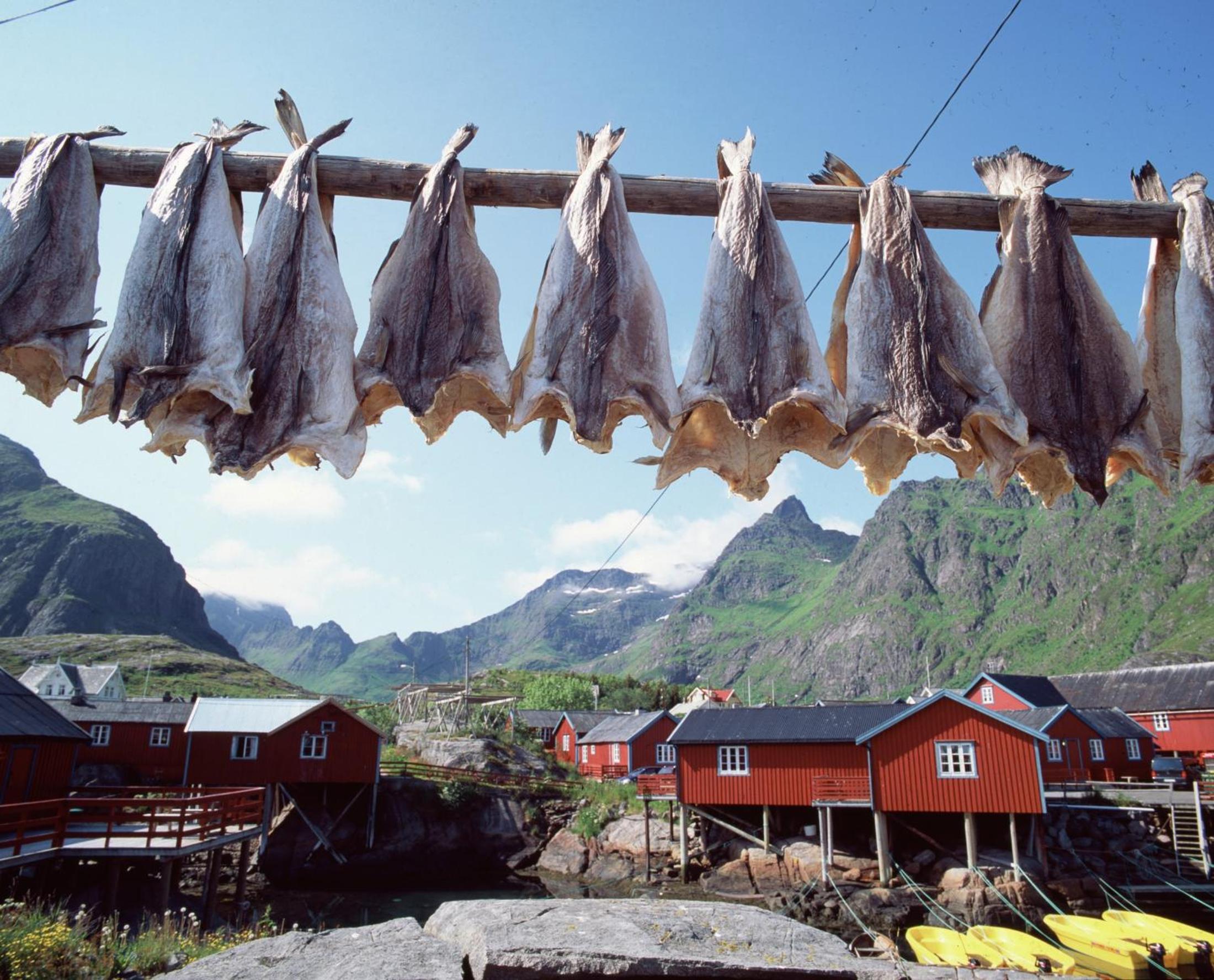 Å Rorbuer - by Classic Norway Hotels view 5