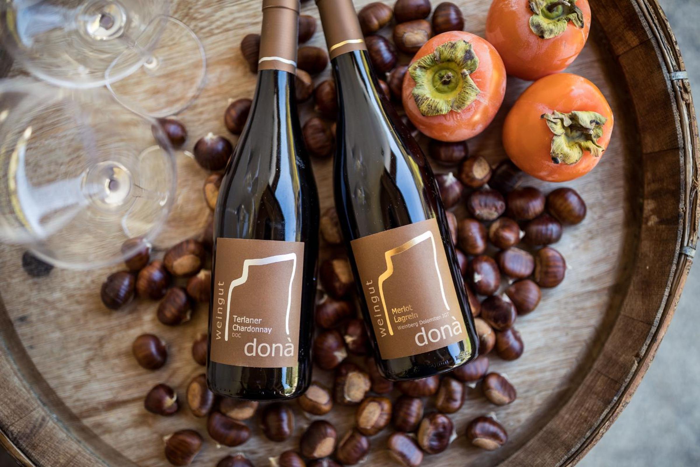 Weingut Donà view 5