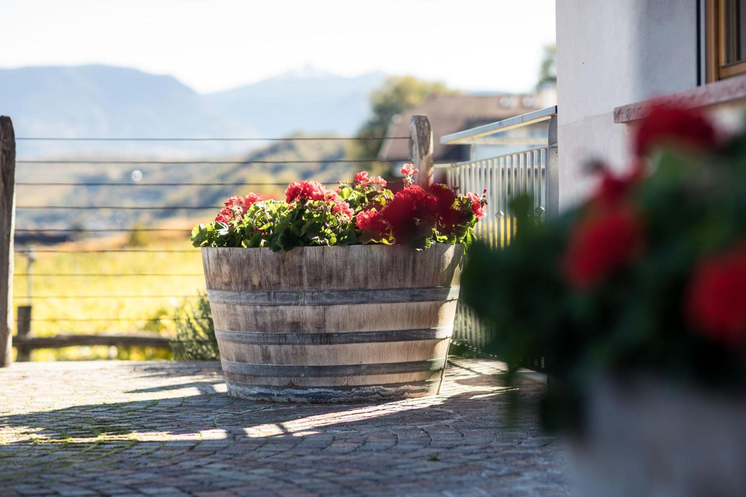 Weingut Donà view 3