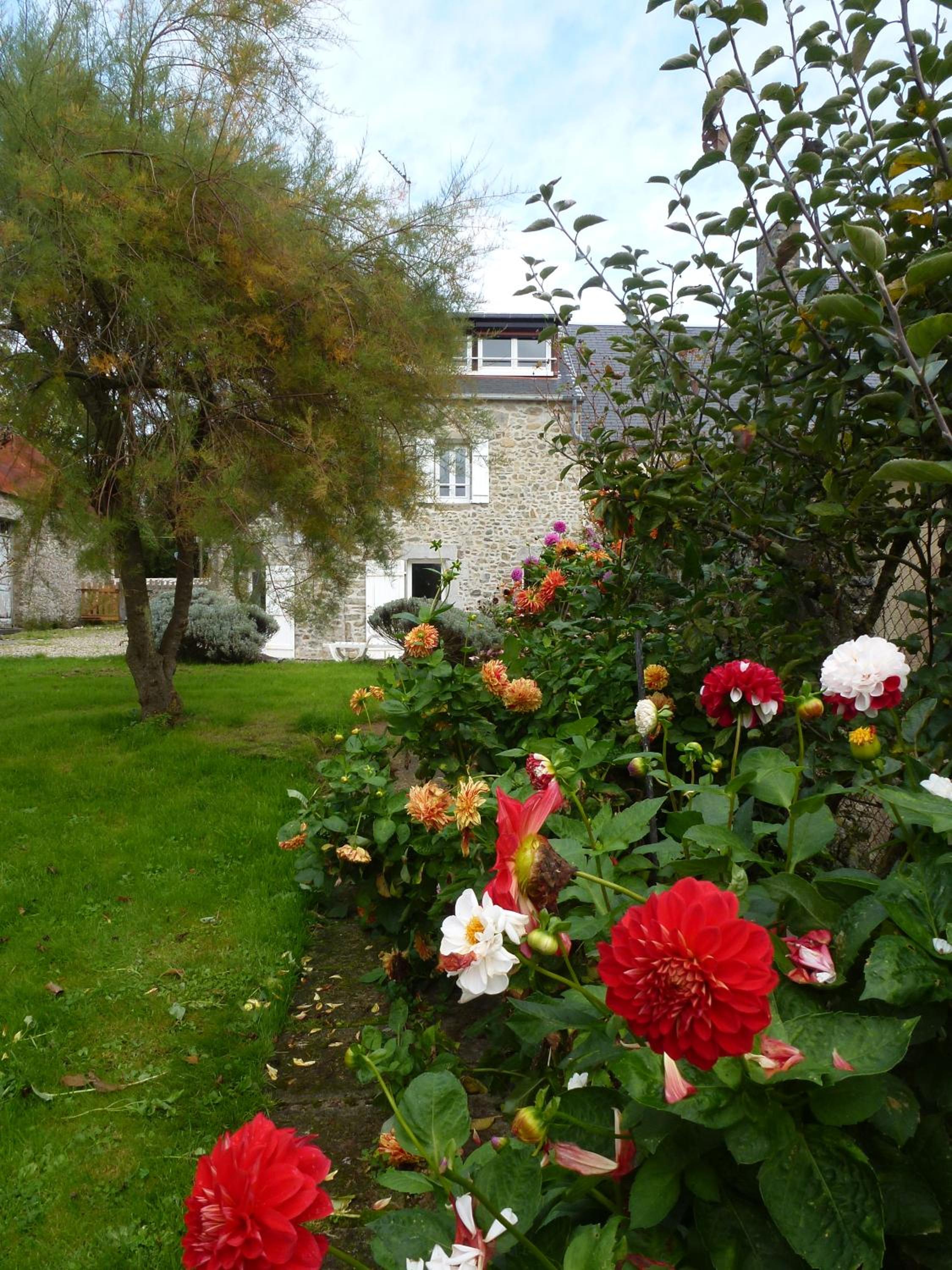 Photo 11