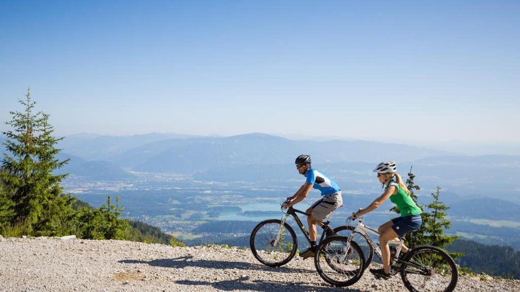 Ambiente Ferienapartments Warmbad Villach view 3