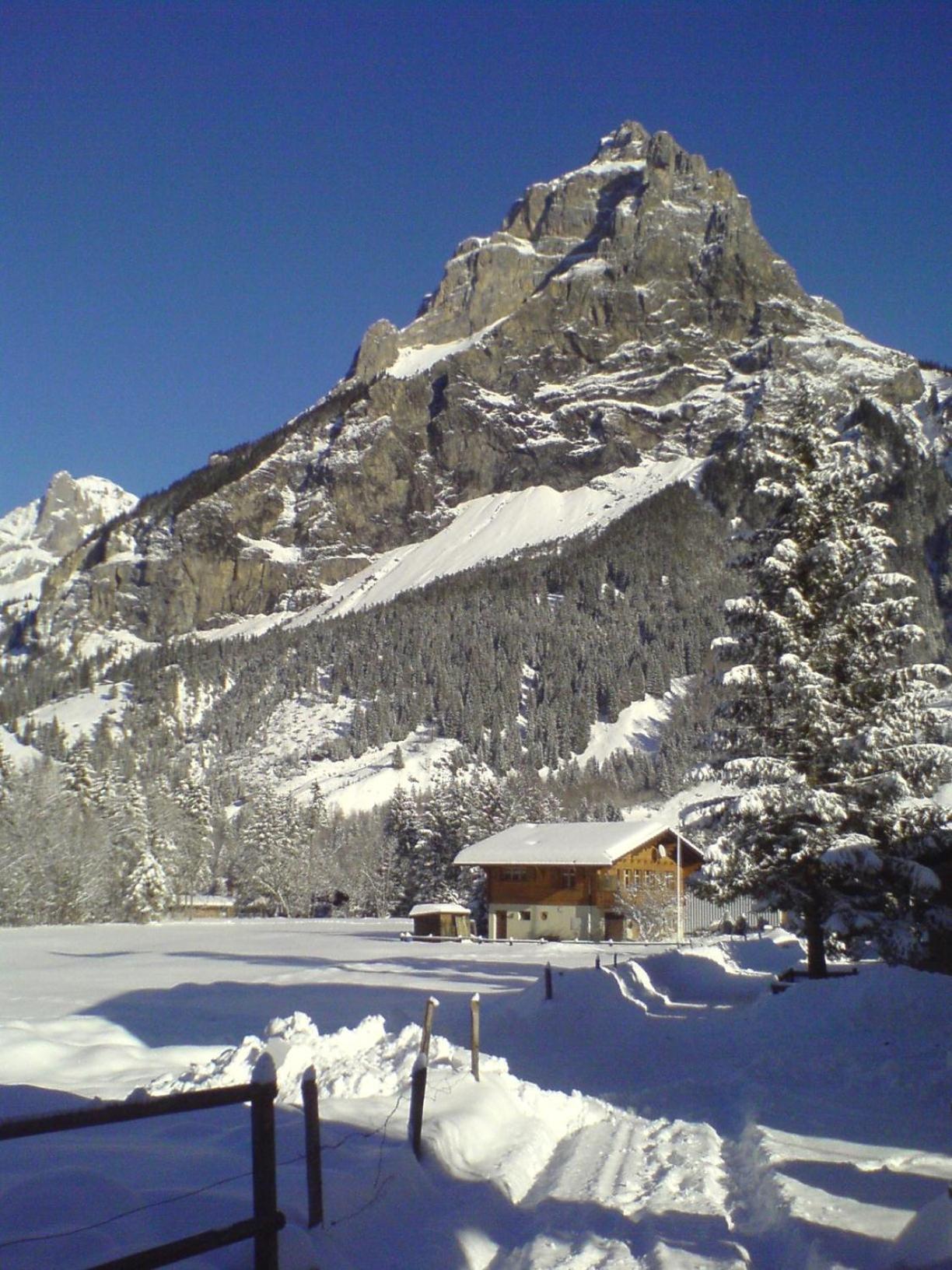 Photo 14