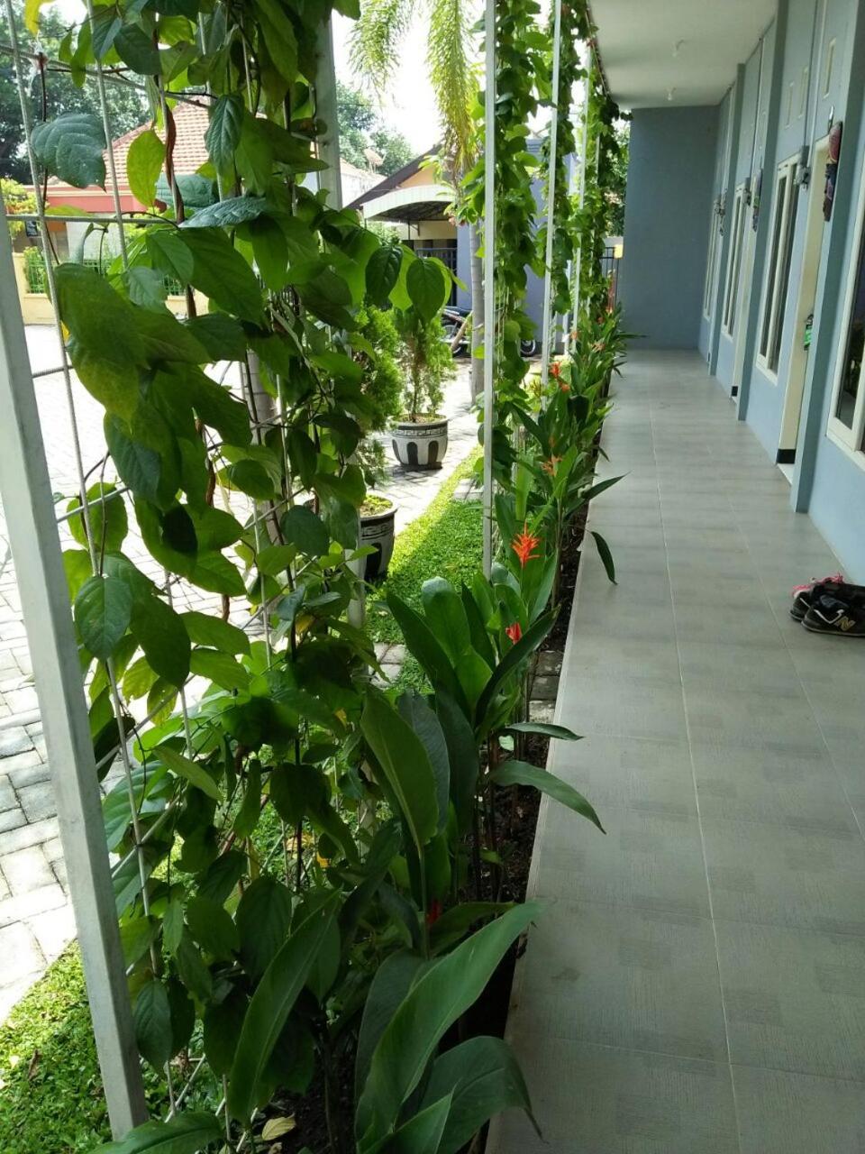 Clover Homestay