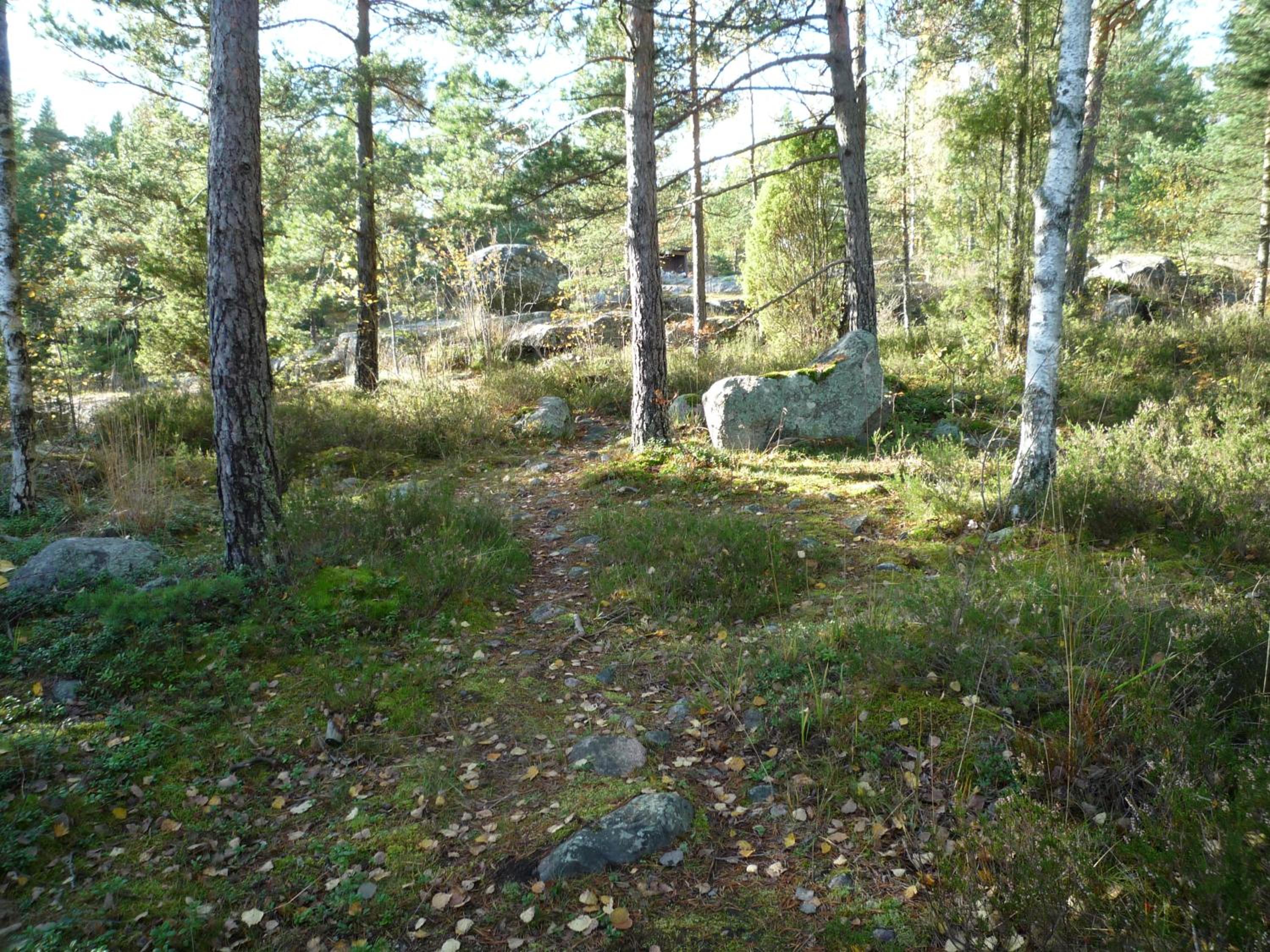 Photo 16