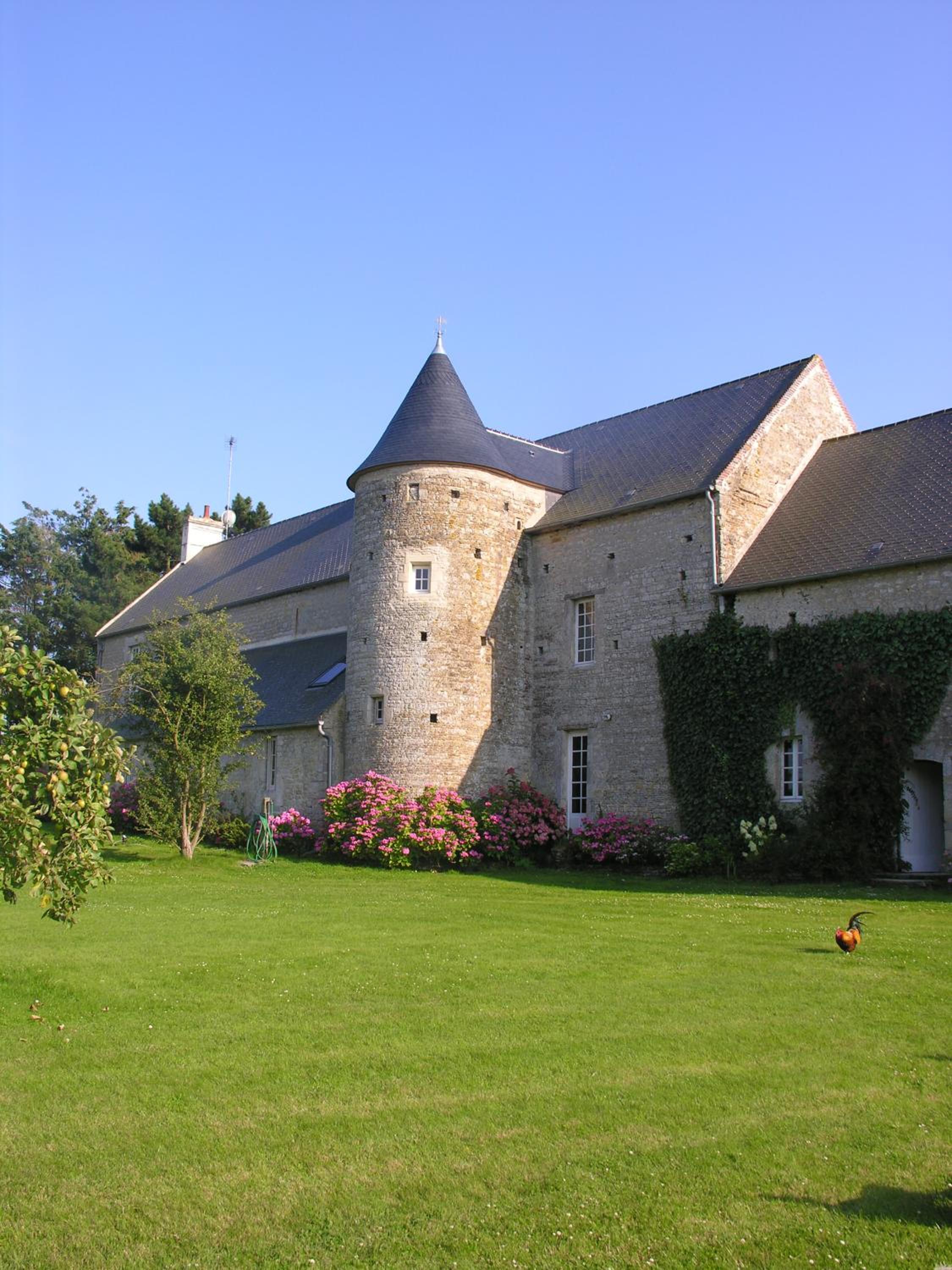 Photo 11