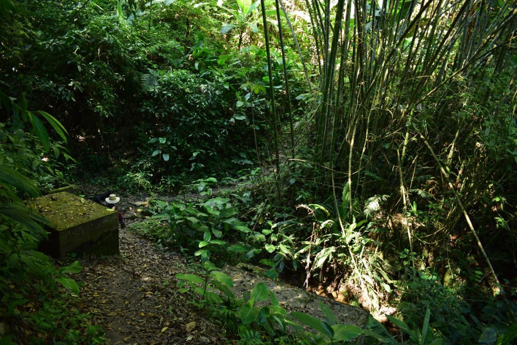 Photo 40