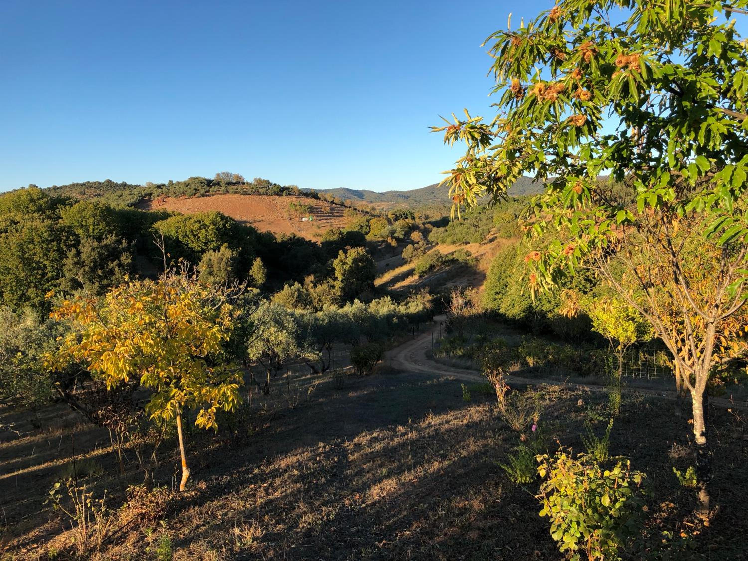 Casa rural en Constantina view 3