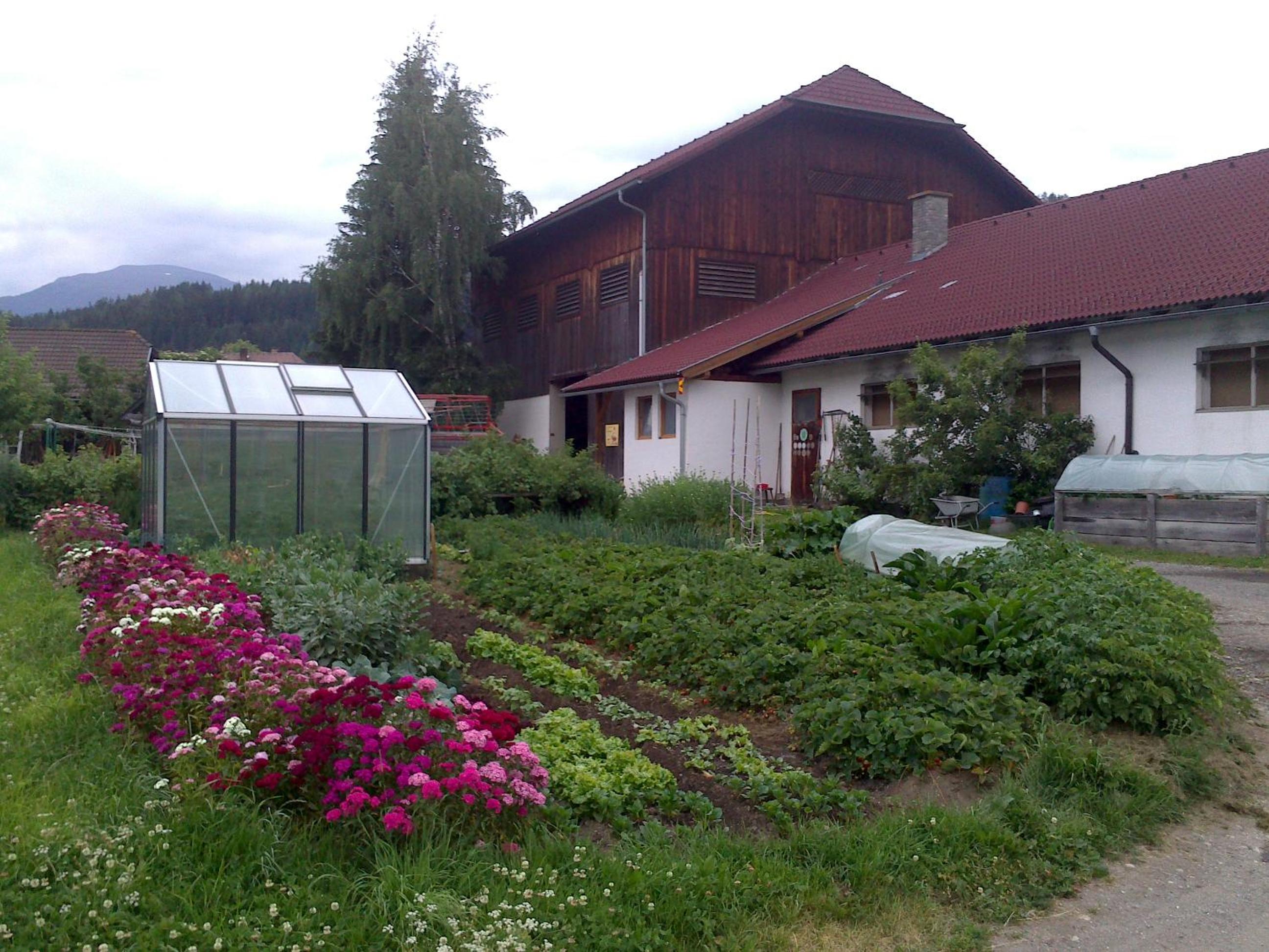 Bio Bauernhof Schoberhof