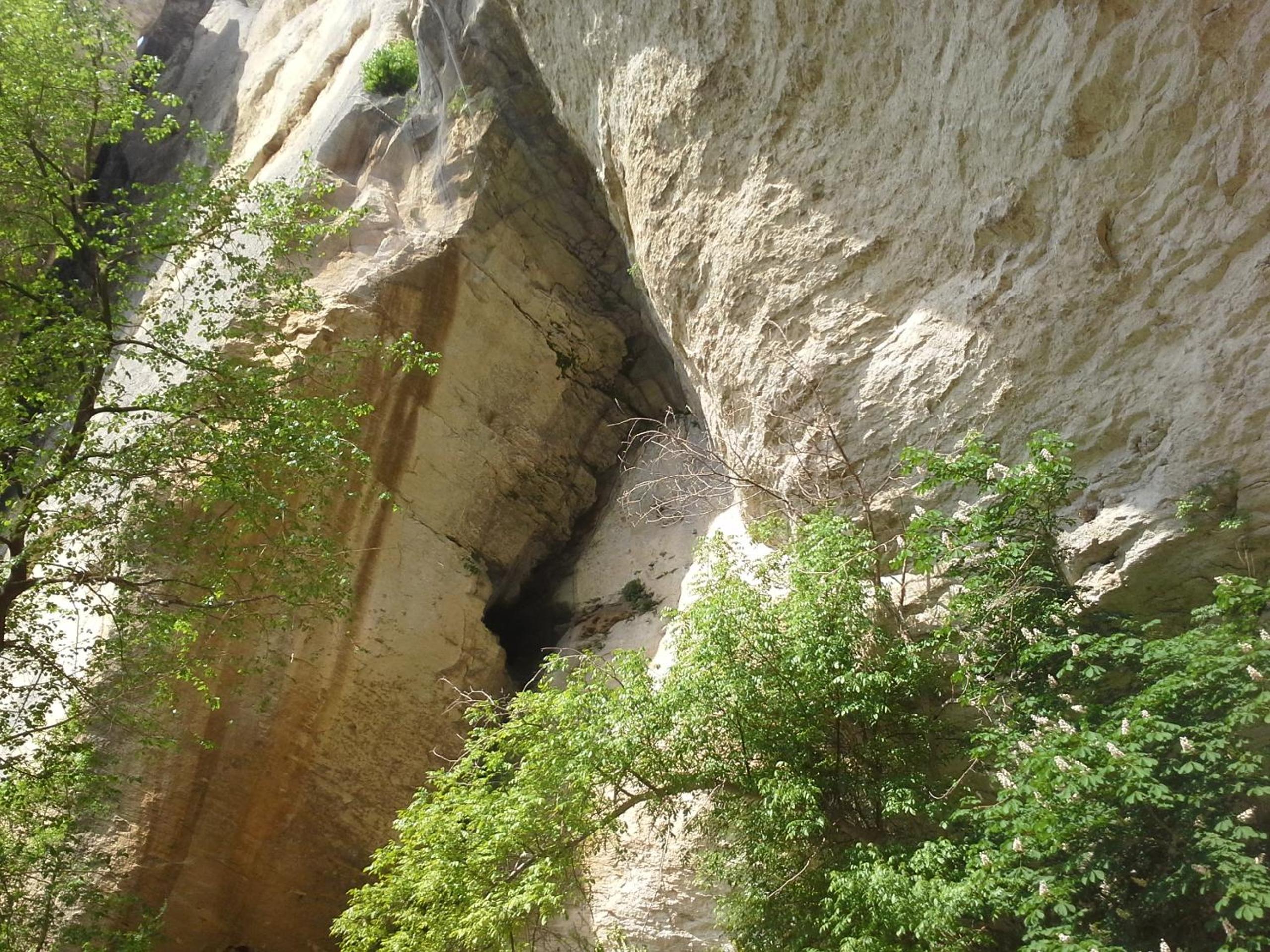 Photo 25
