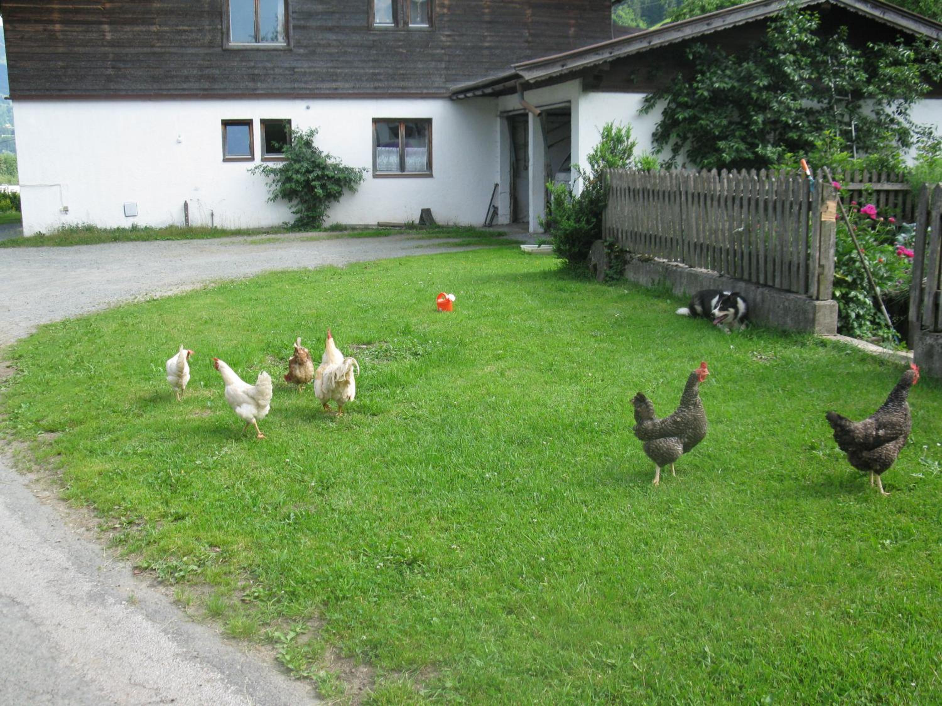 Malernhof
