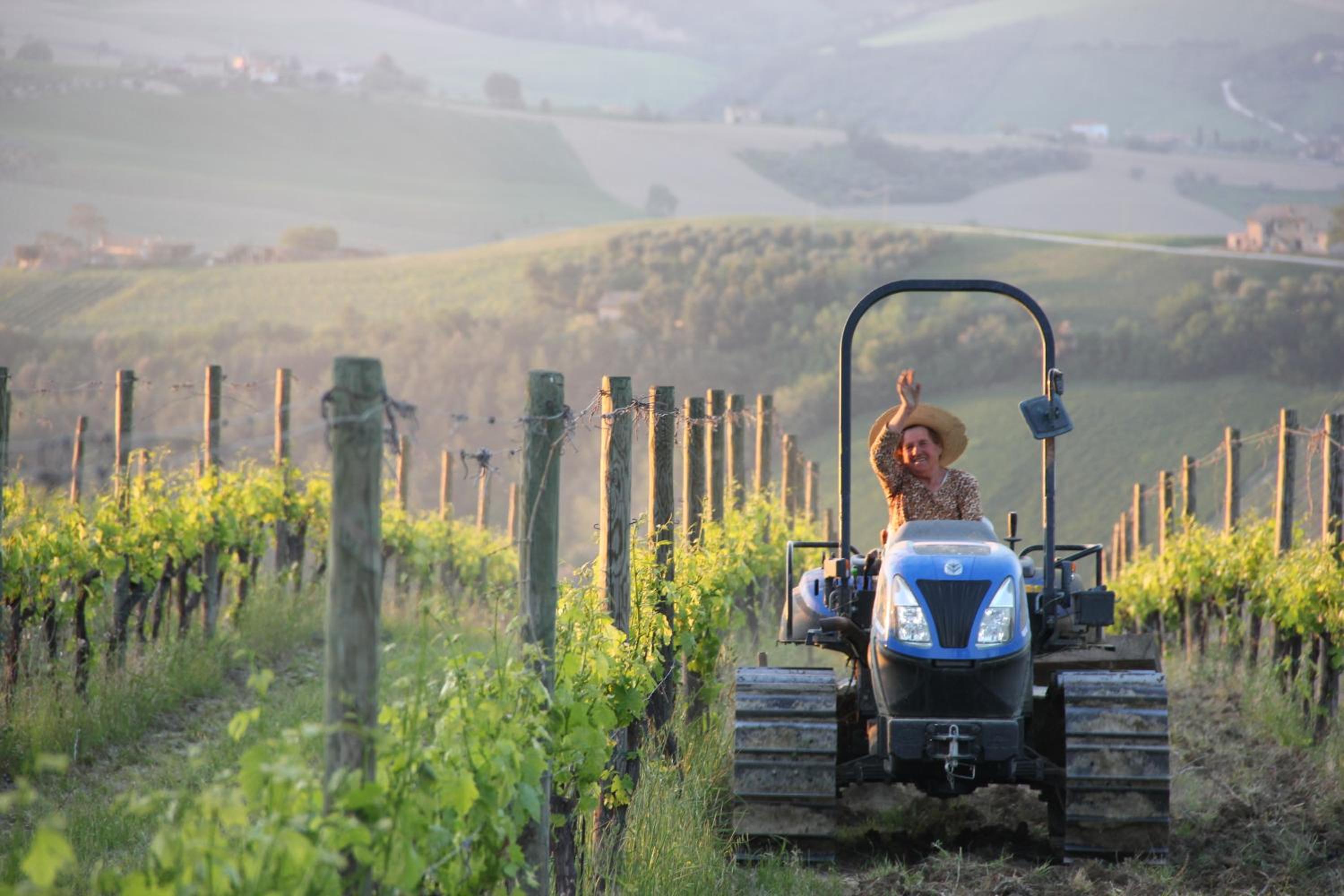 Agriturismo San Michele