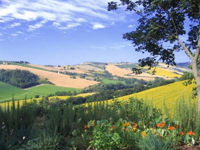 Agriturismo San Michele