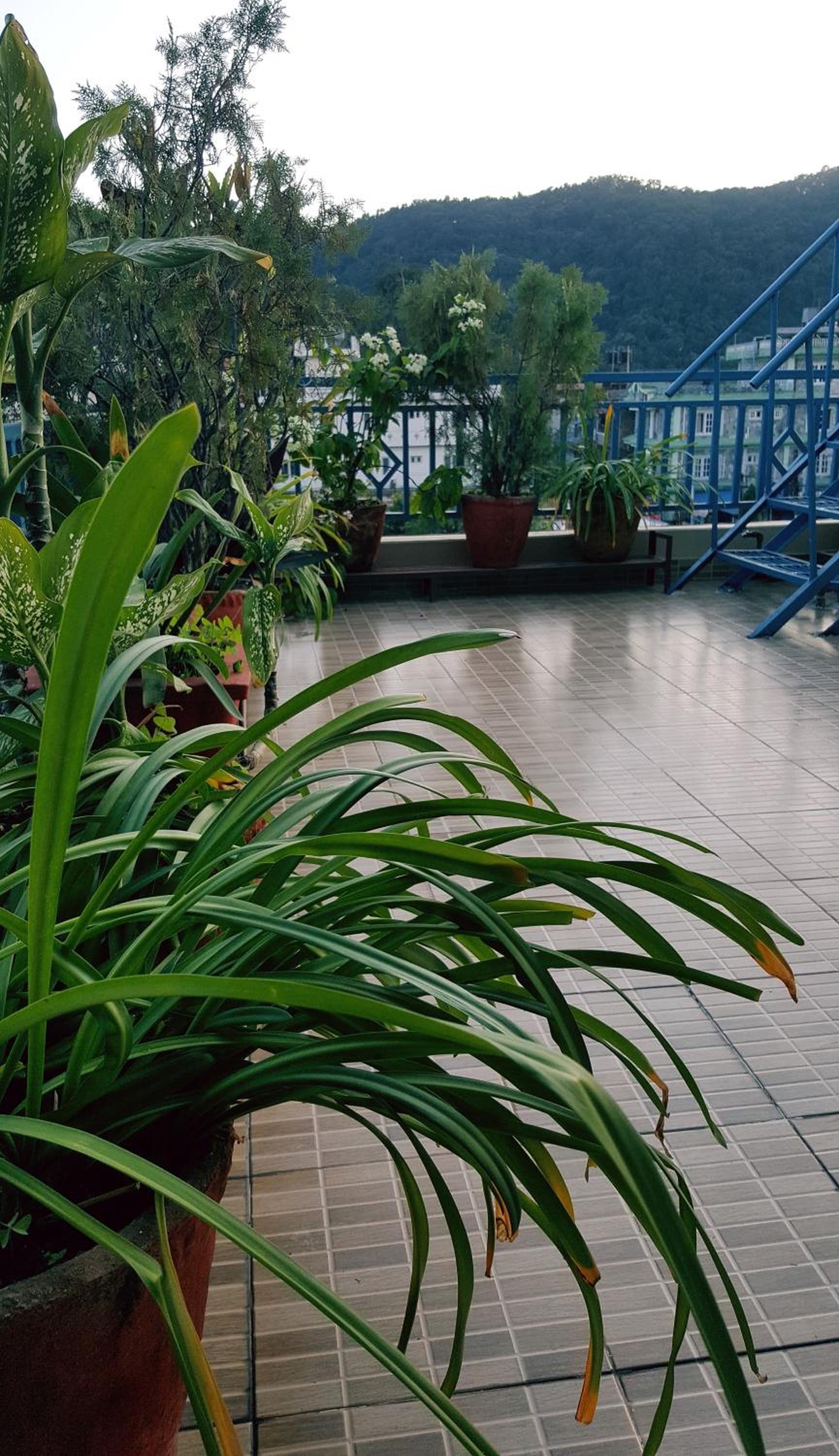 Nanohana Lodge