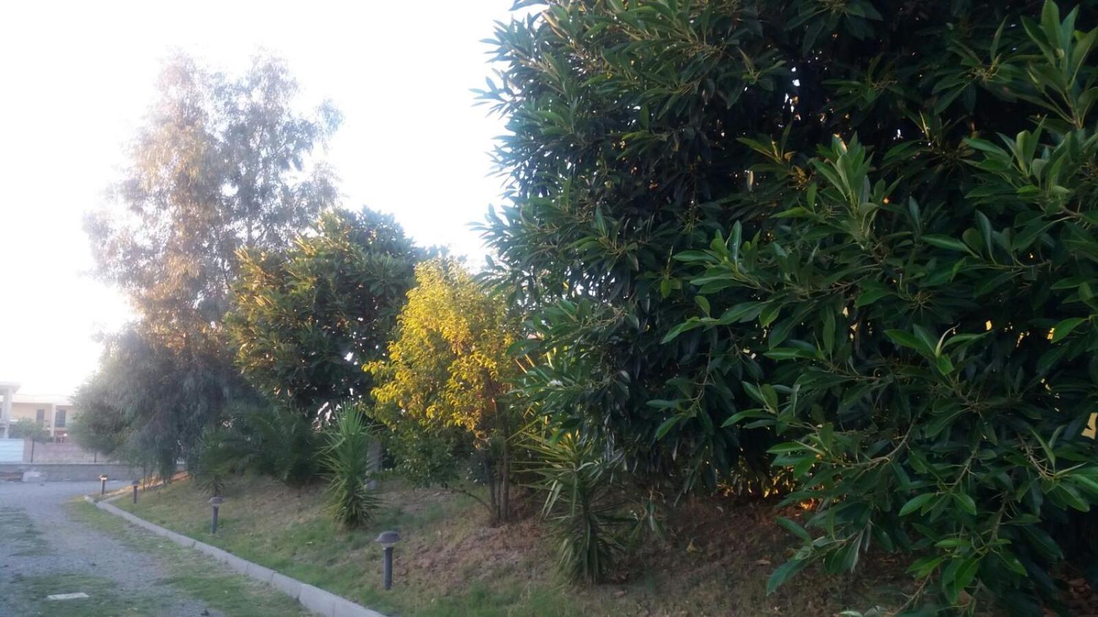 Photo 38