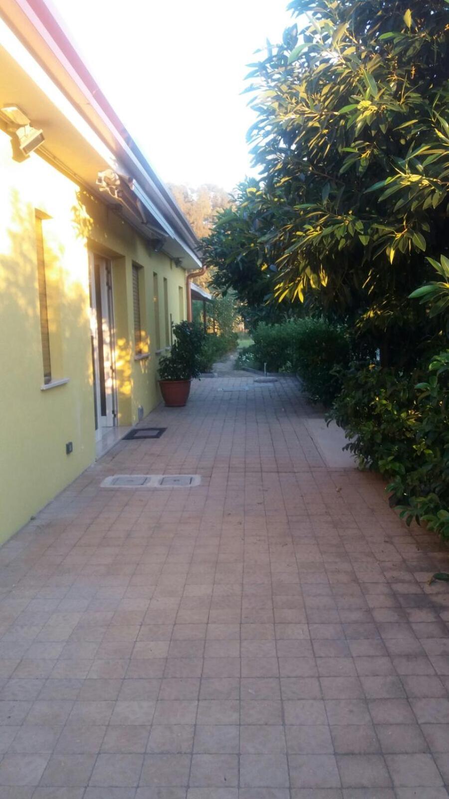 Photo 36