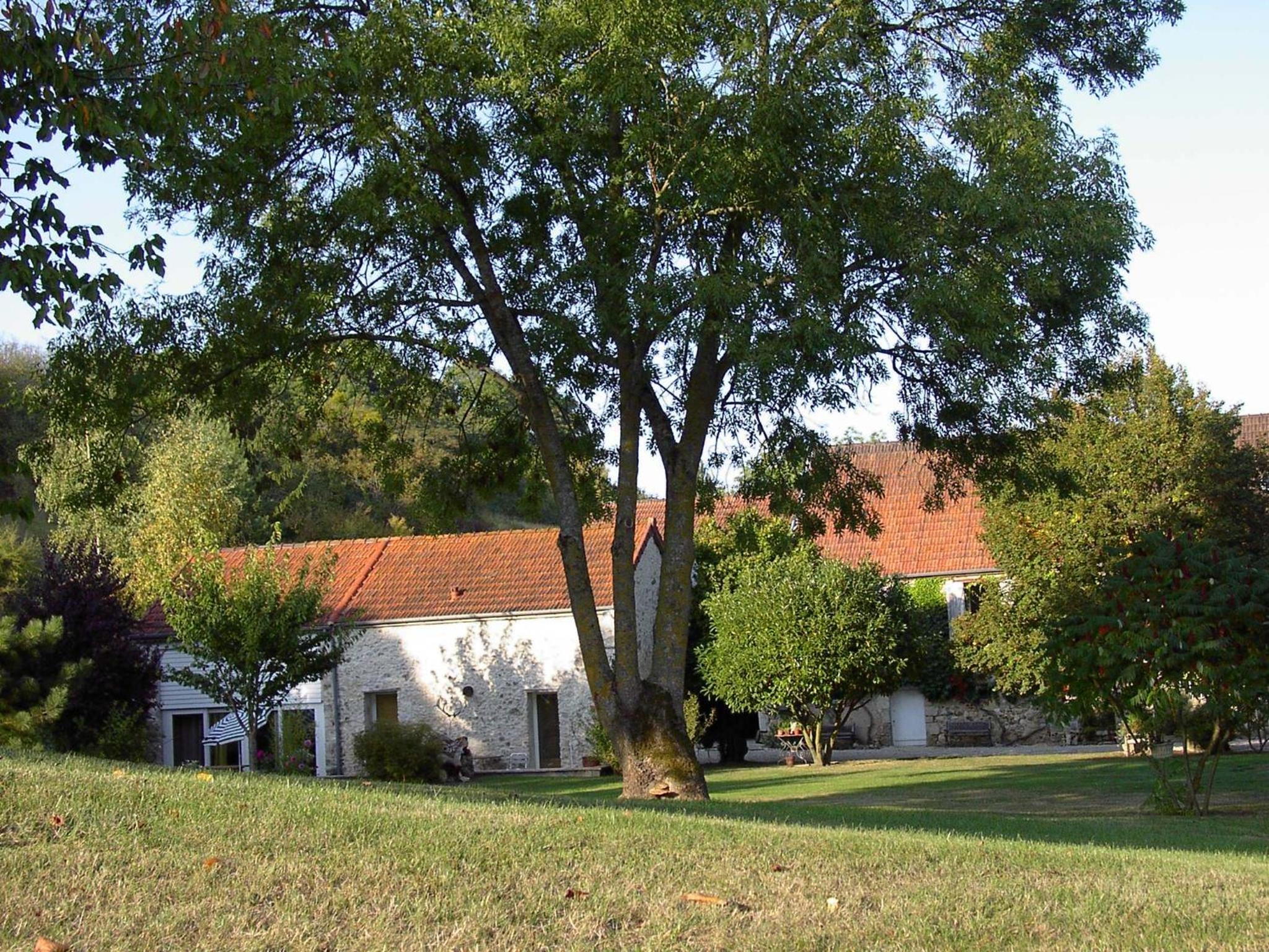 Photo 40