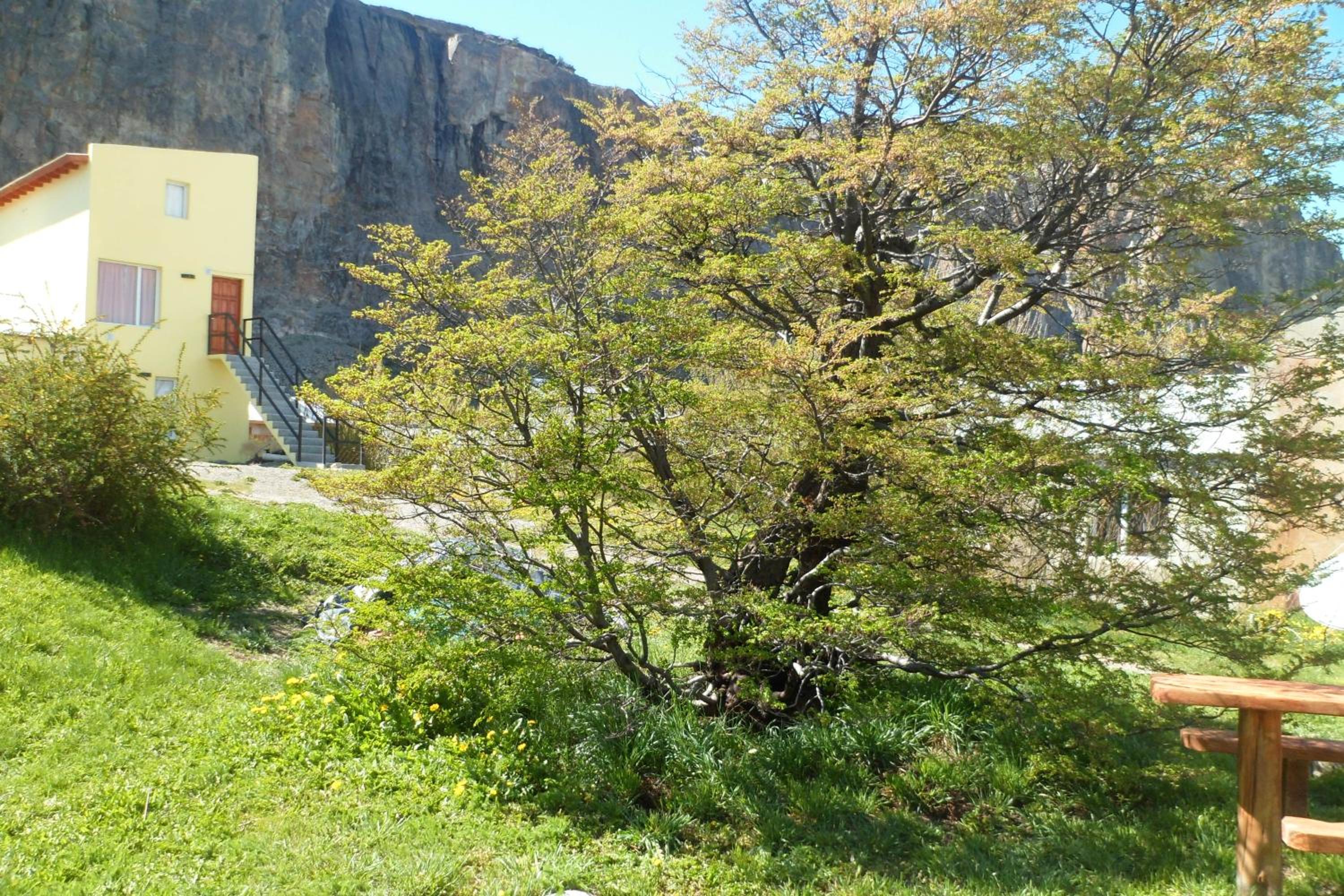 Milenarios Hostel
