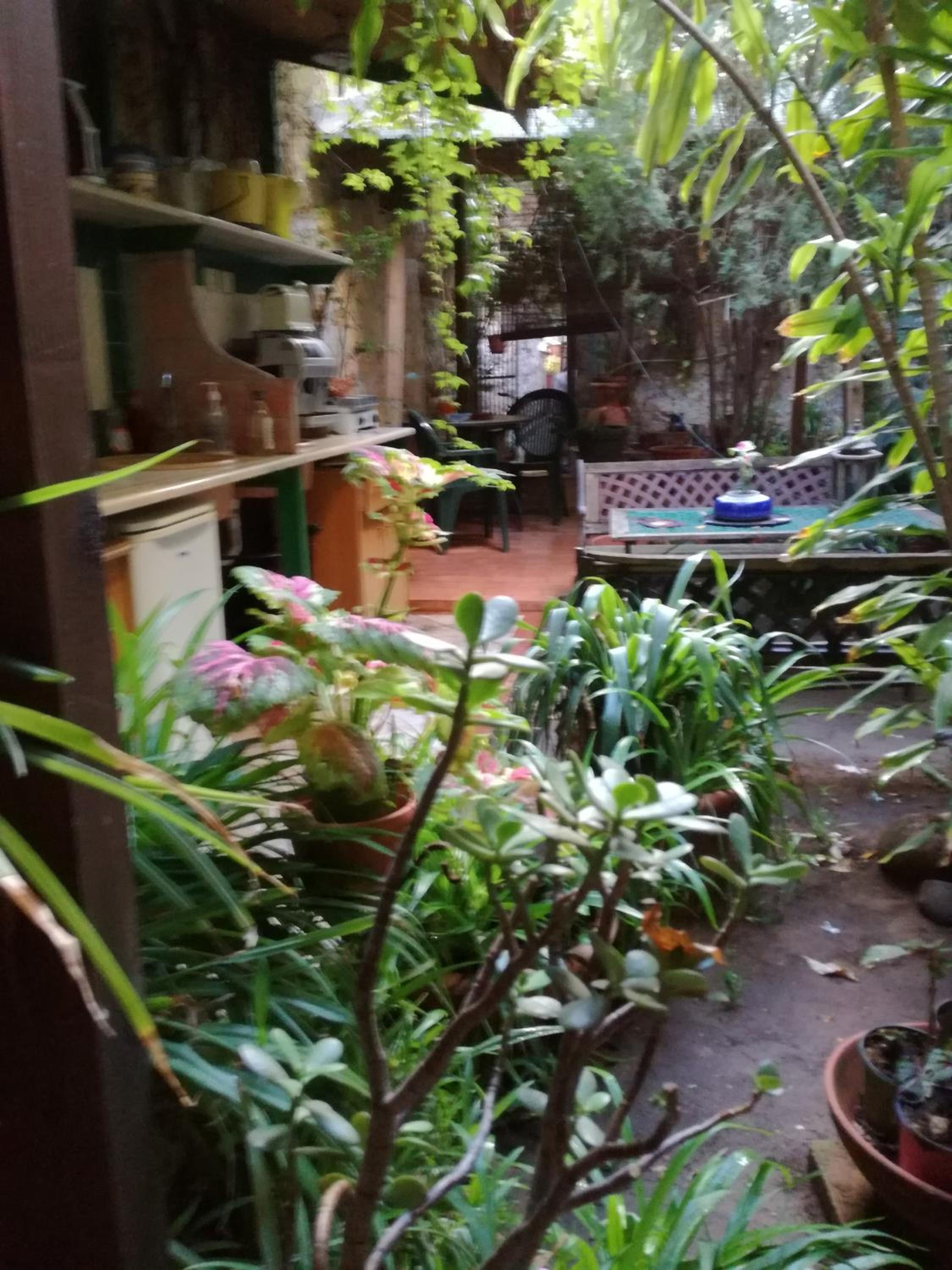 The Garden en Sferracavallo — other
