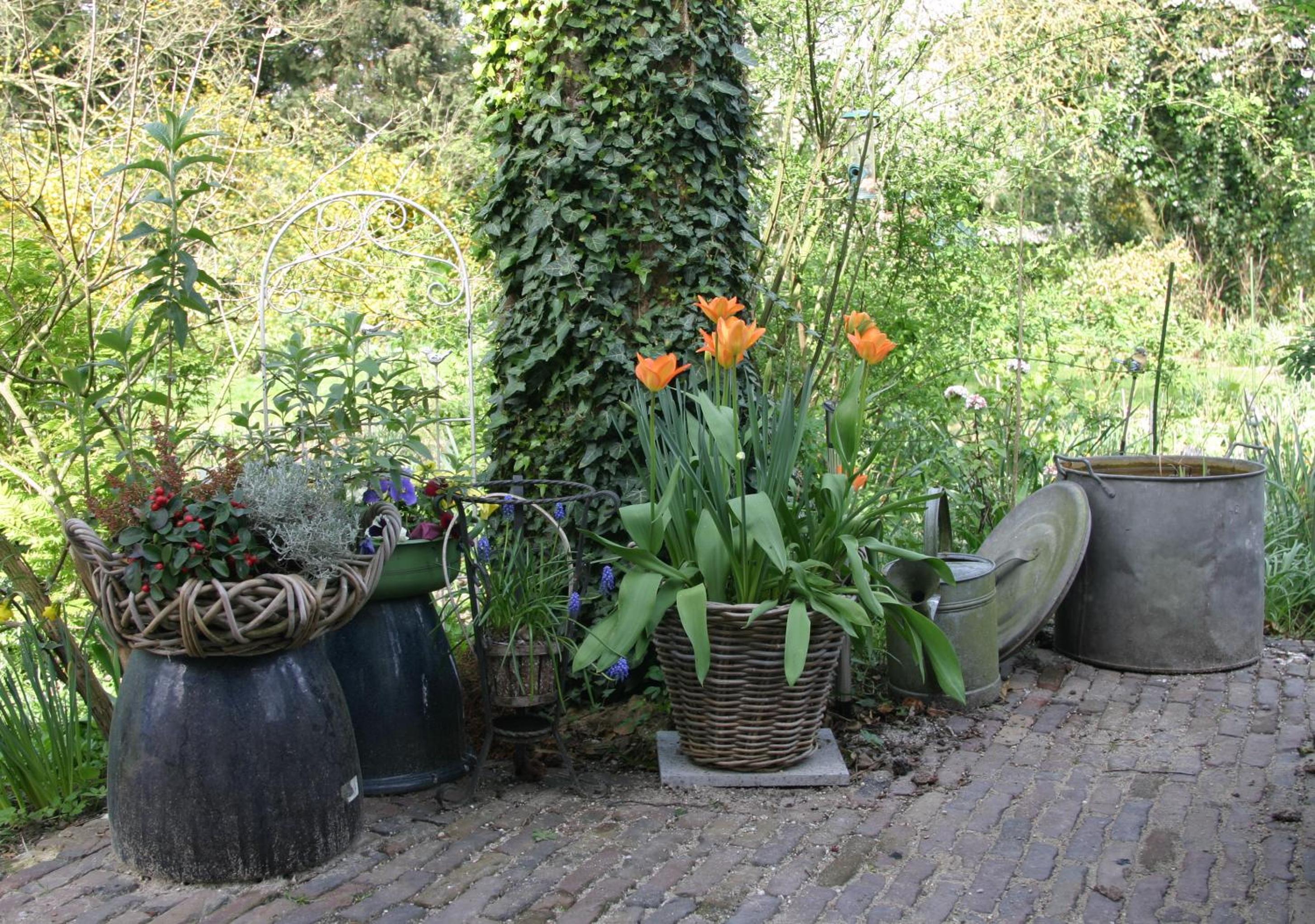 Photo 19