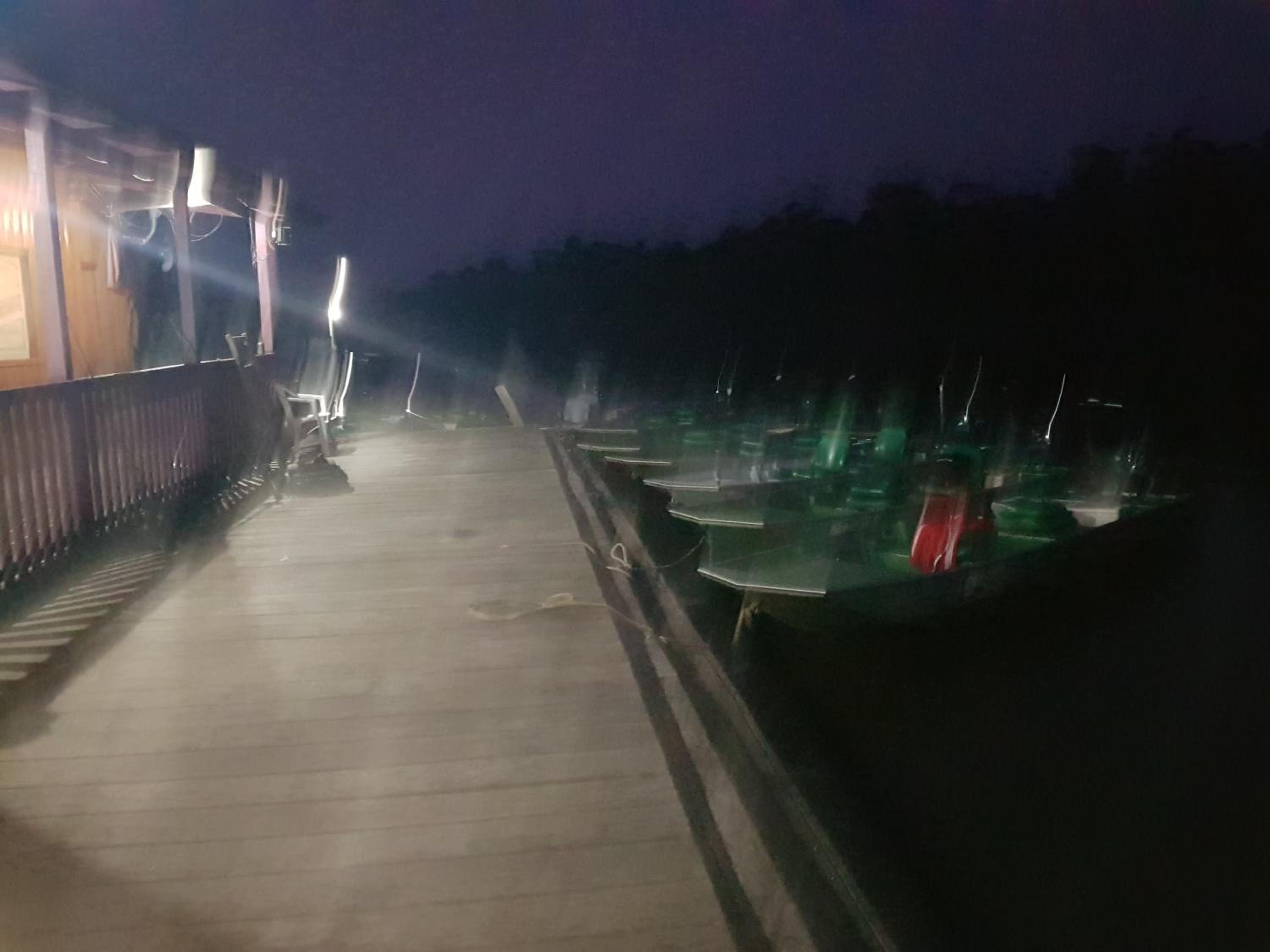 Amazon Arowana Lodge