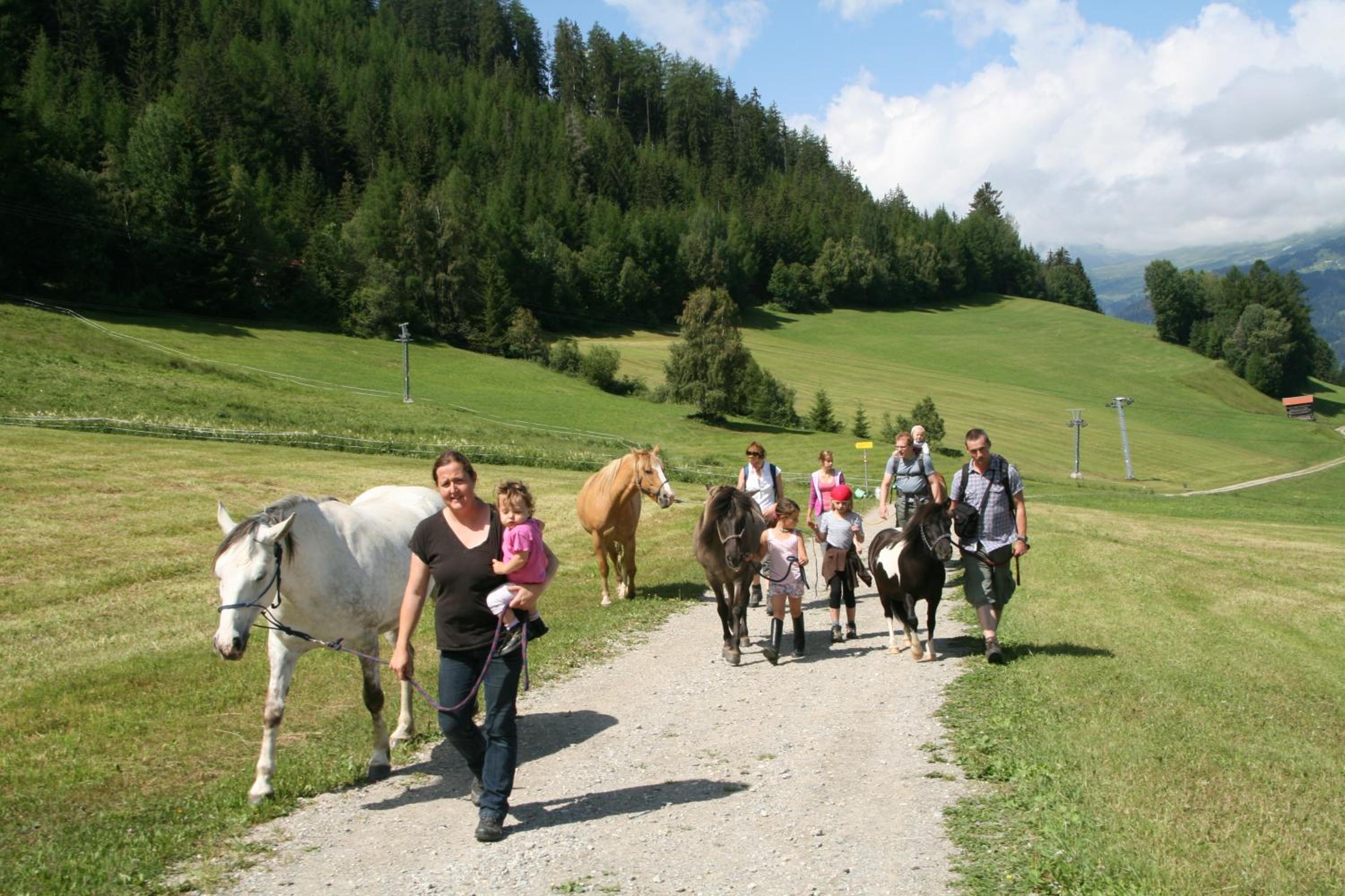 Naturerlebnis Lärchenhof