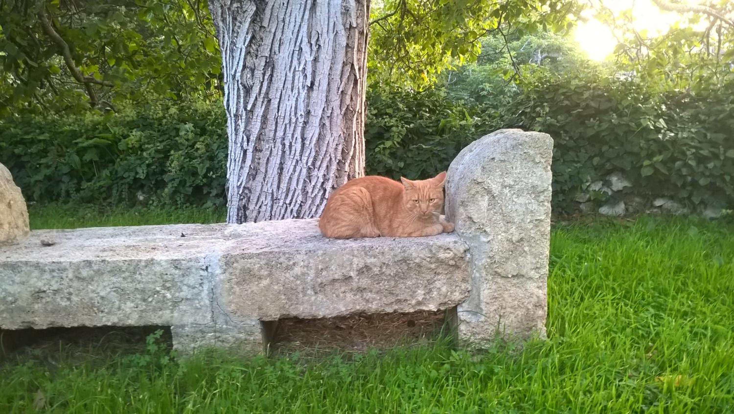 Casale del Forno
