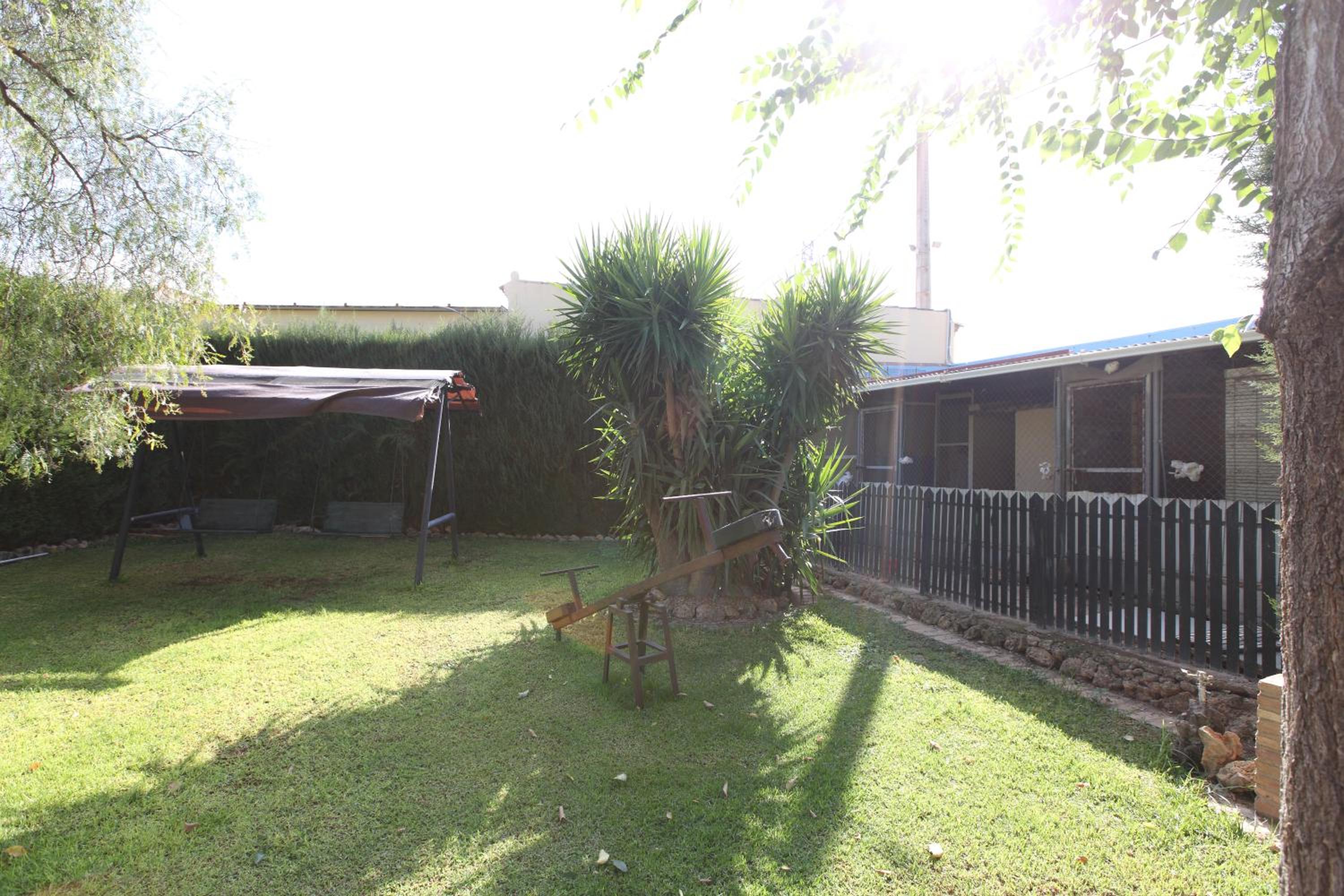 Photo 20