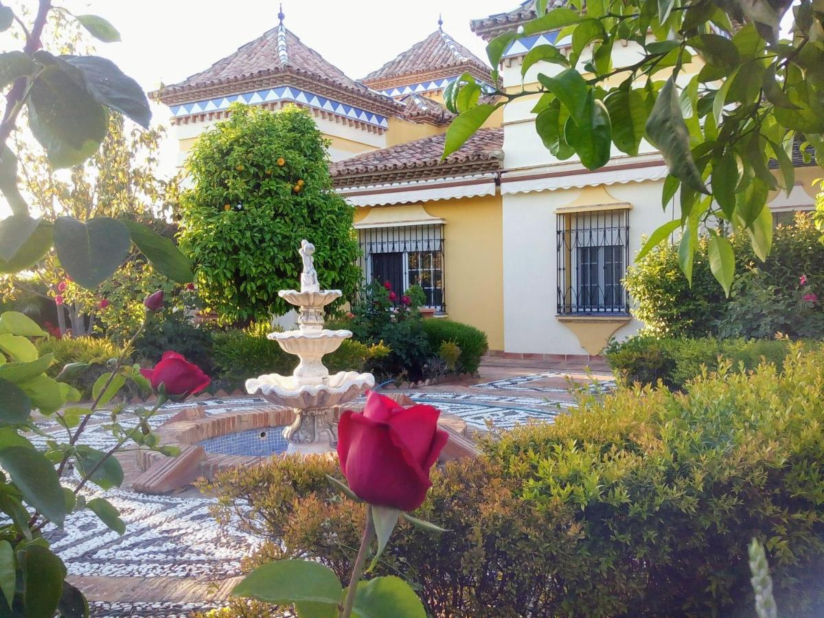 Andalusian experience photo 2