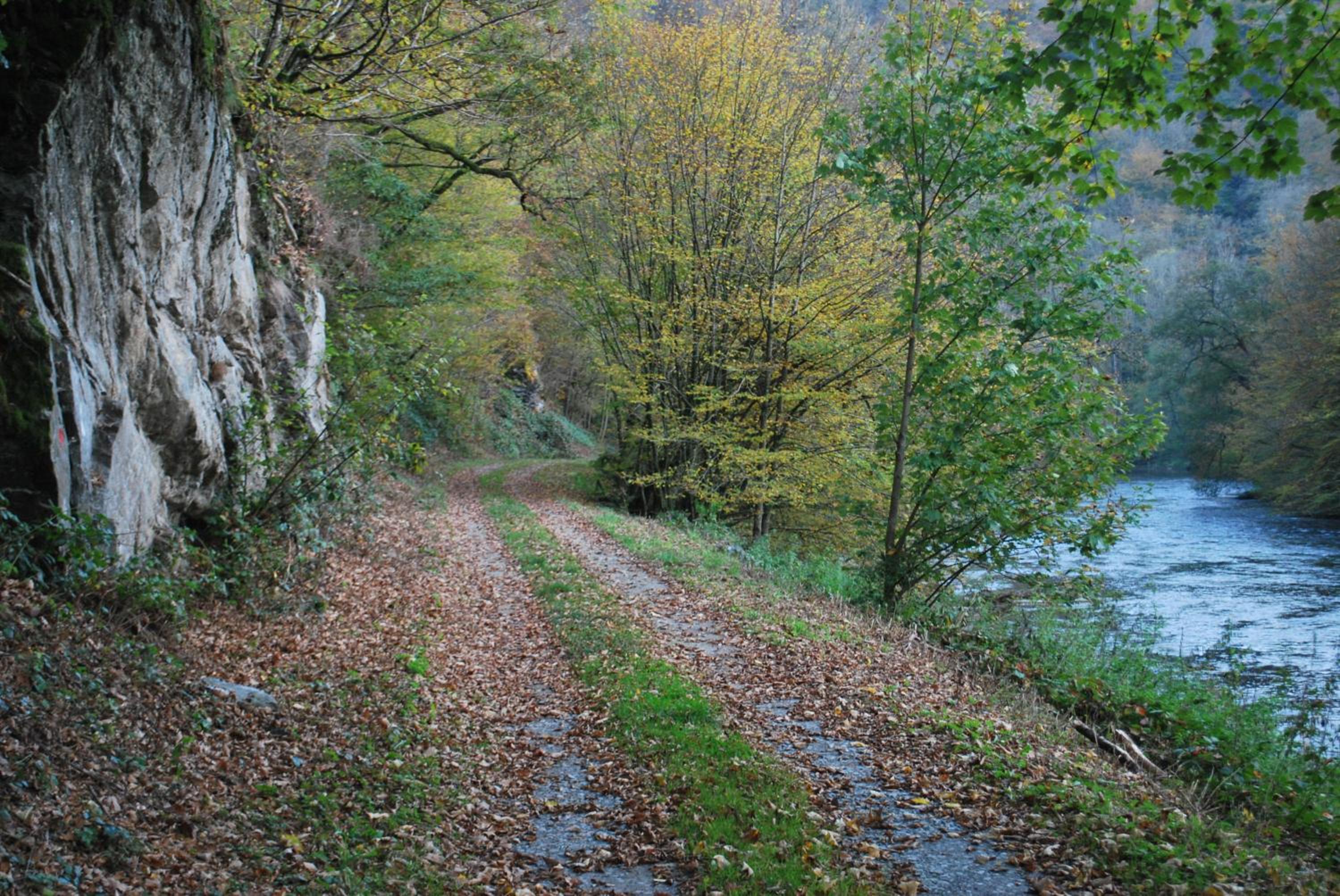La petite source view 4