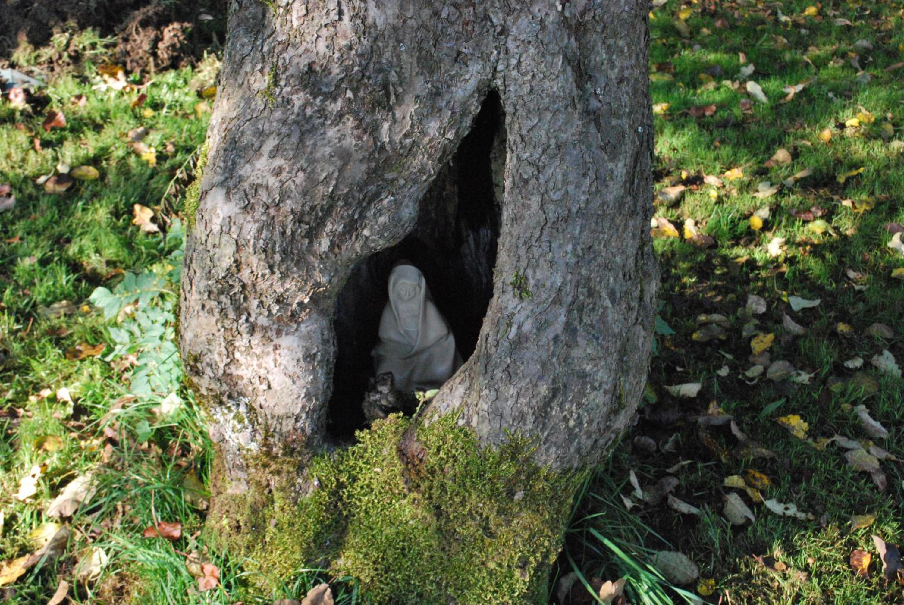 La petite source view 3