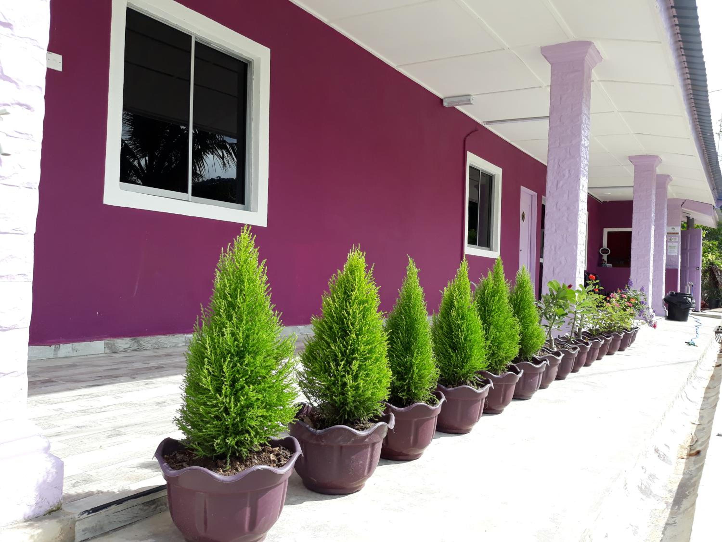 Taman Negara River View Lodge