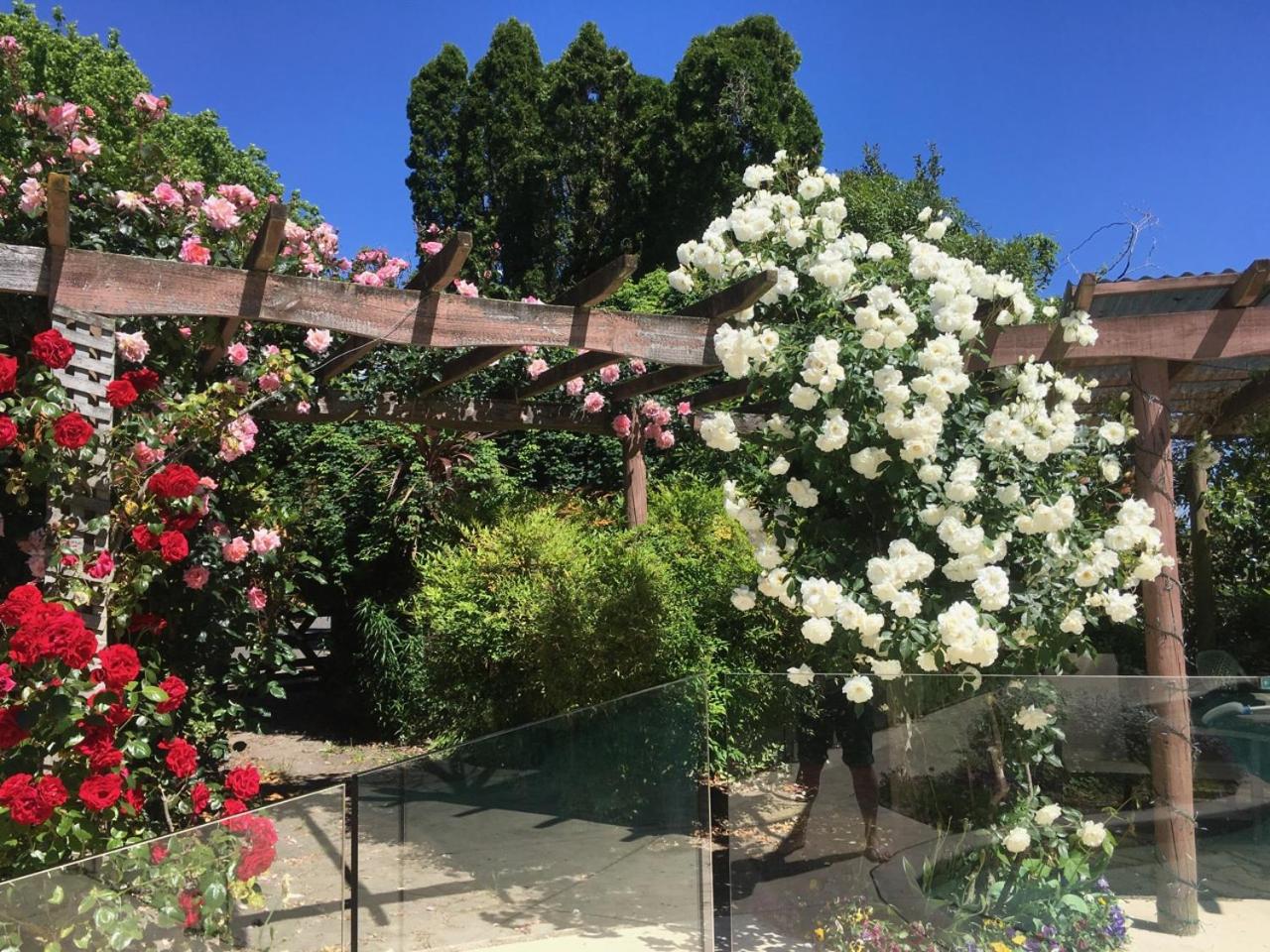 Bluebell Lodge and Cottage