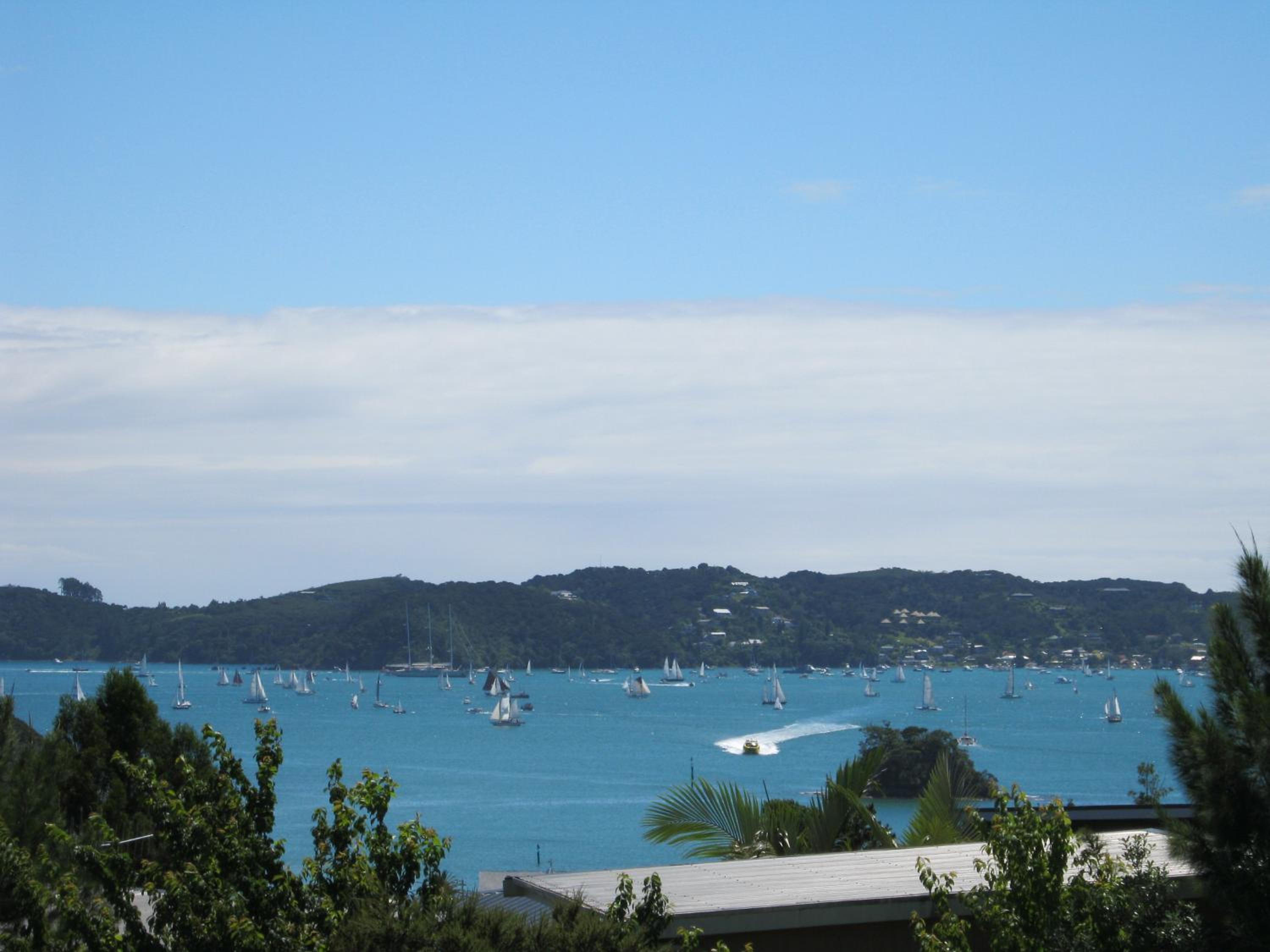 Decks of Paihia