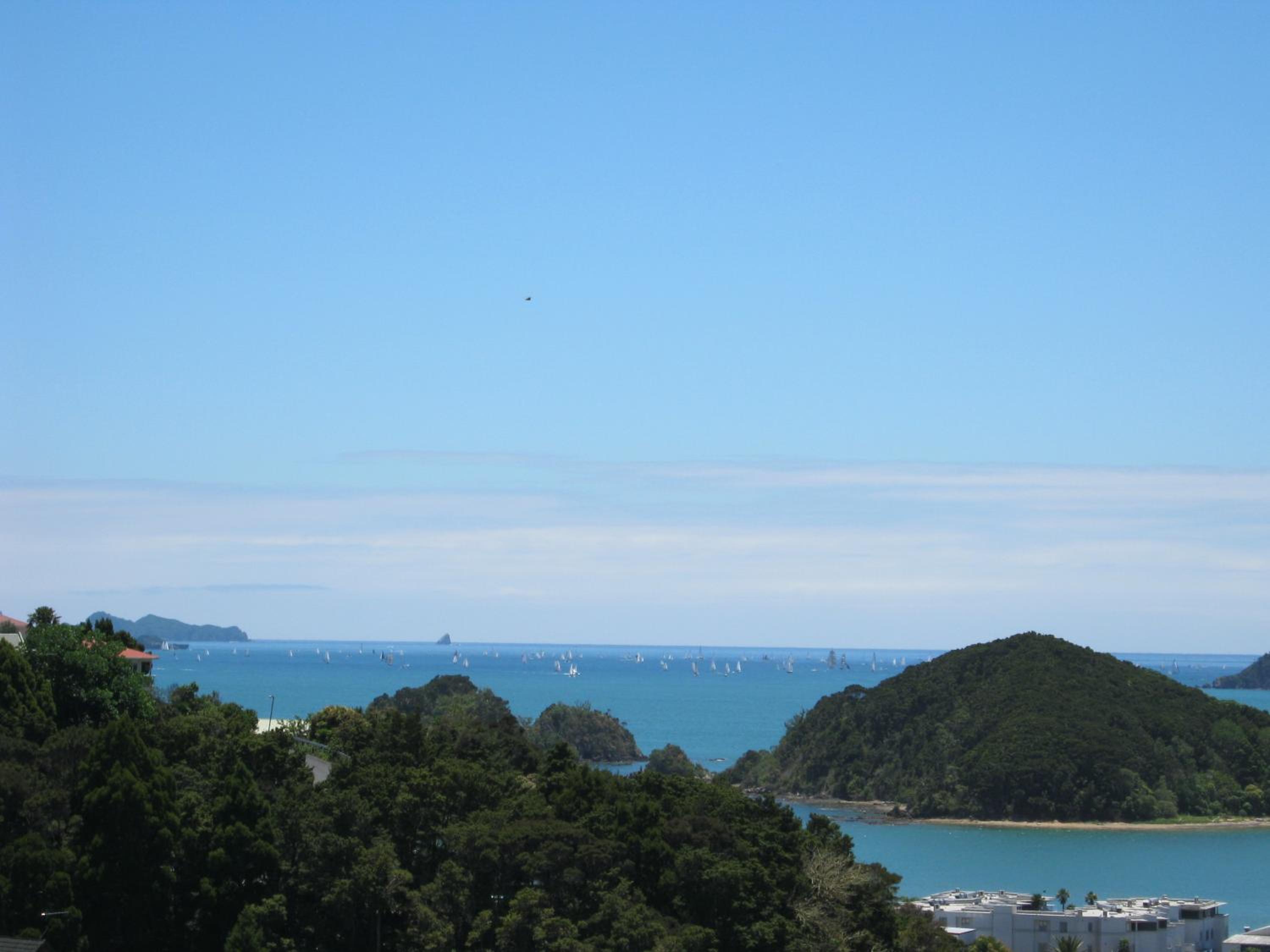 Decks of Paihia