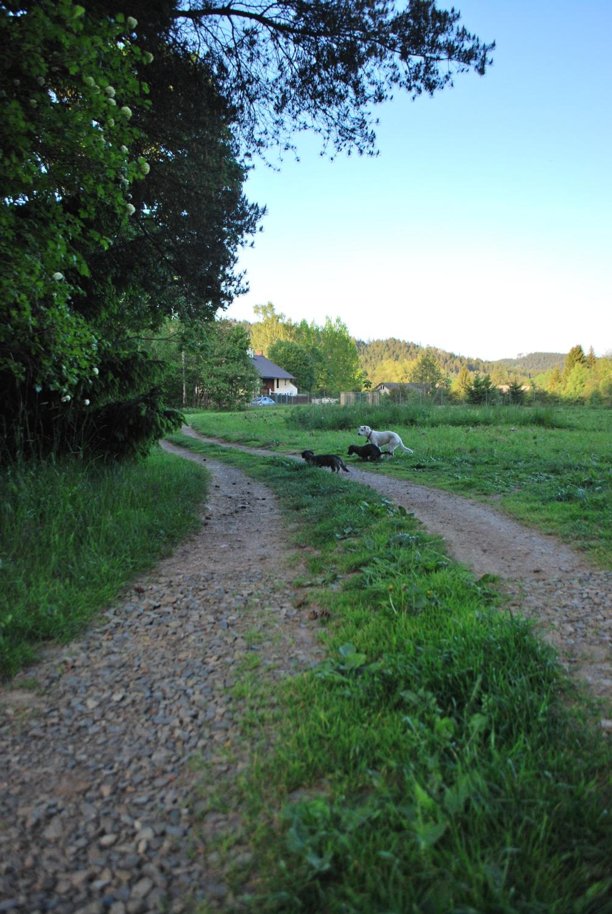 Adršpach U Meierů