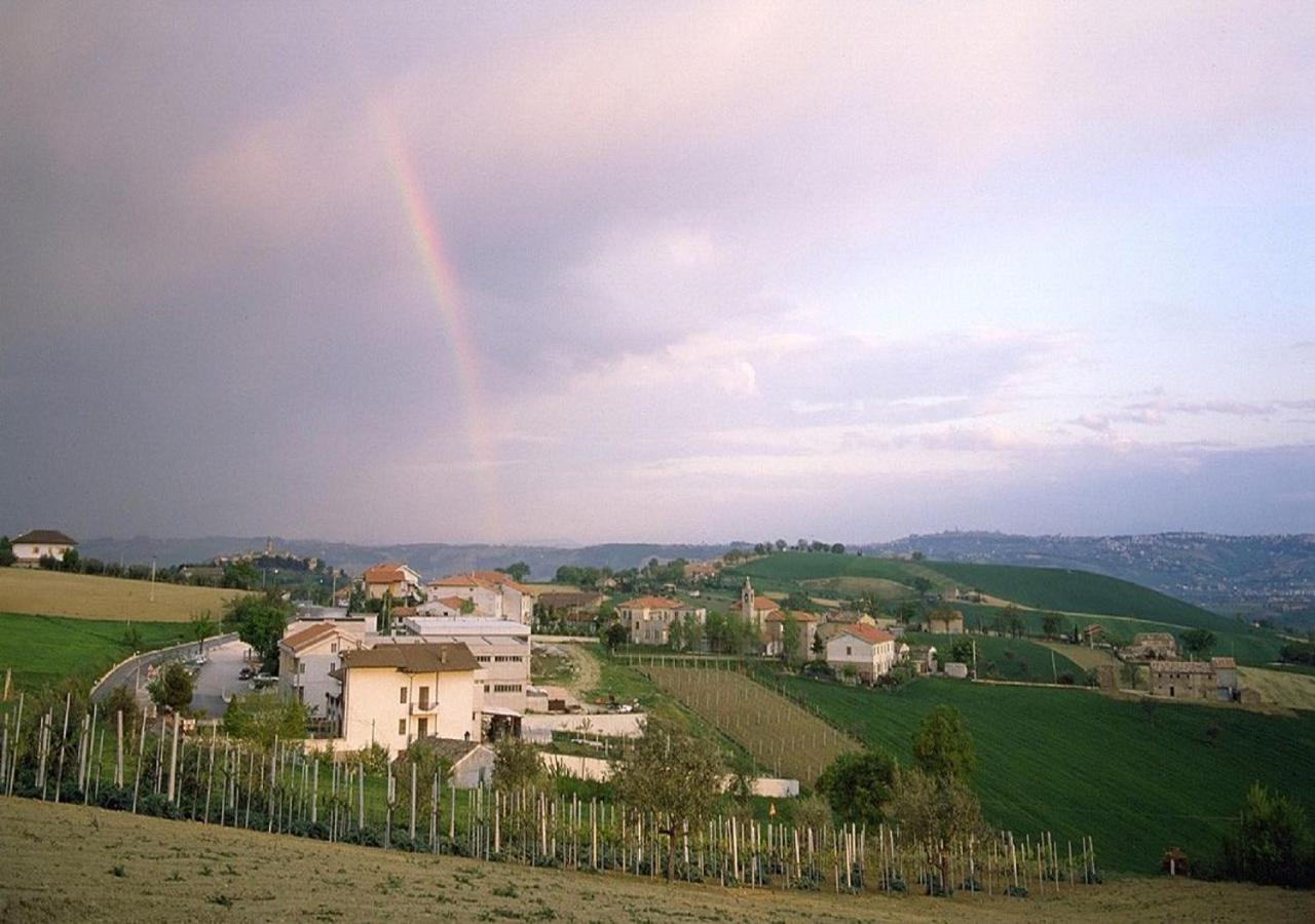 Photo 8