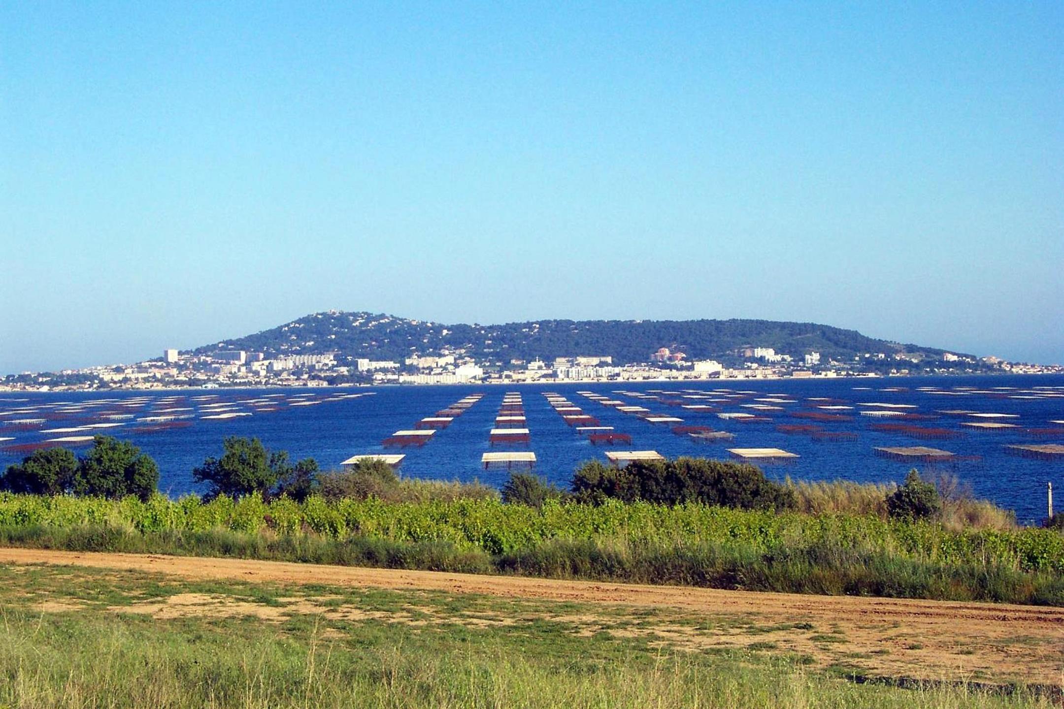 Port Mezua, photo 3