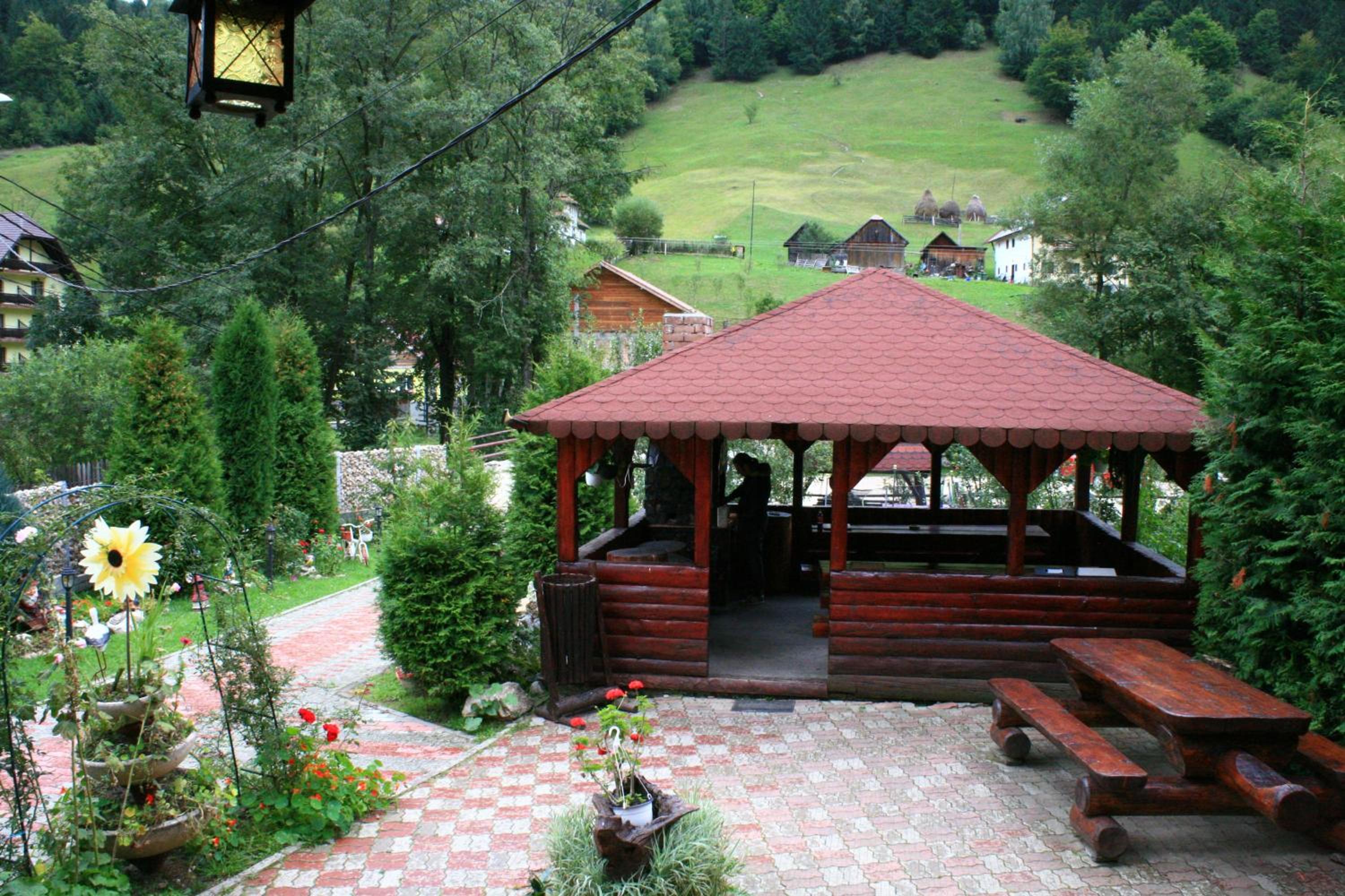 Photo 15