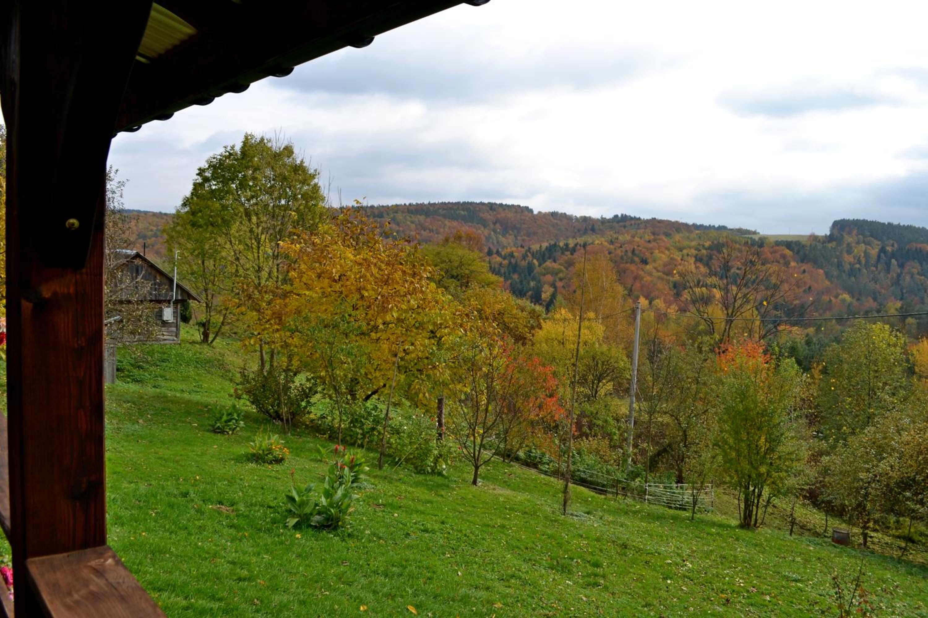 Photo 42