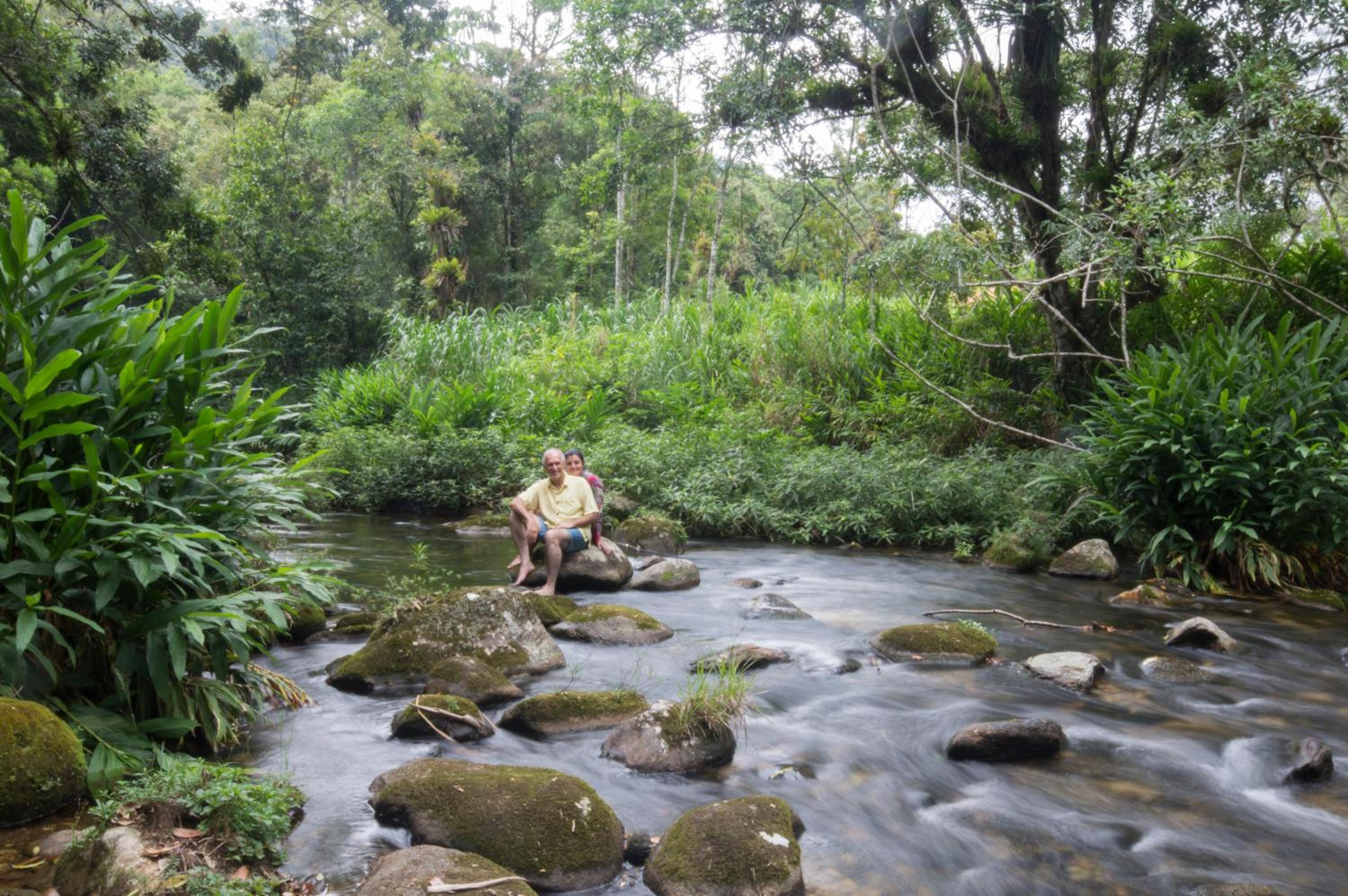 Photo 44