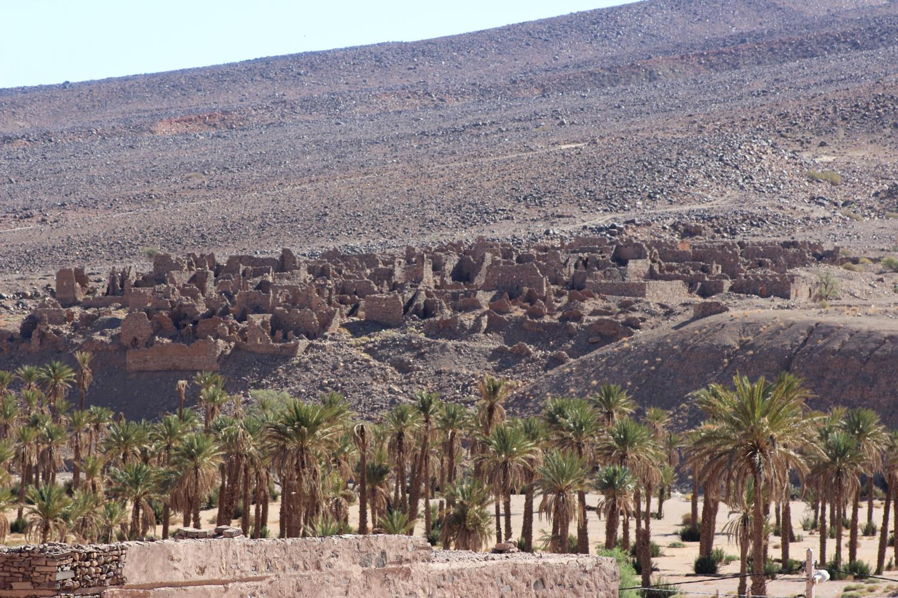Riad Hiba